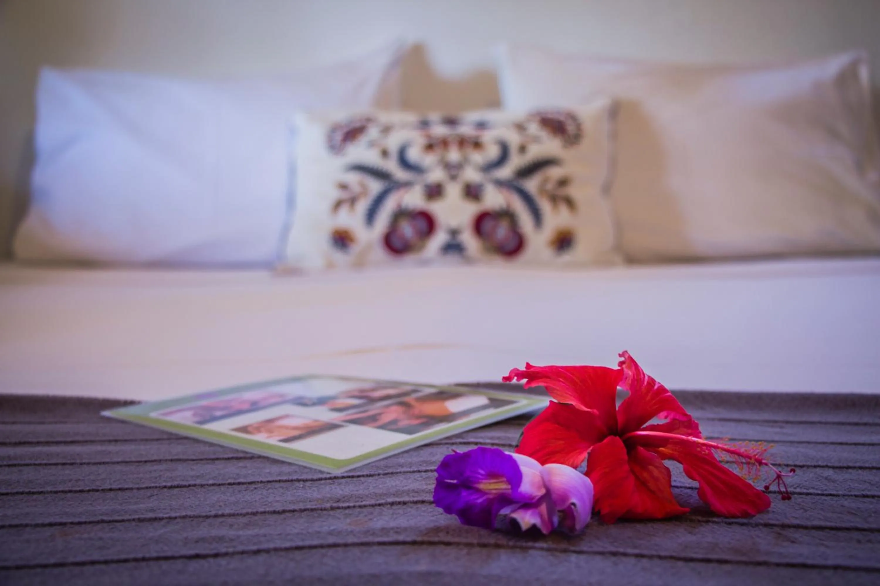 Bed in Planeta Banana Paraty