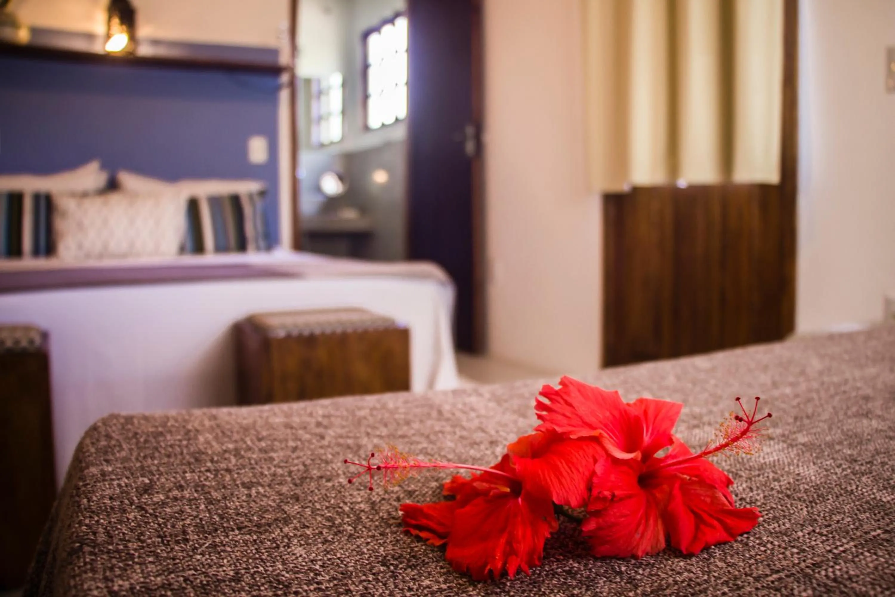 Photo of the whole room, Bed in Planeta Banana Paraty