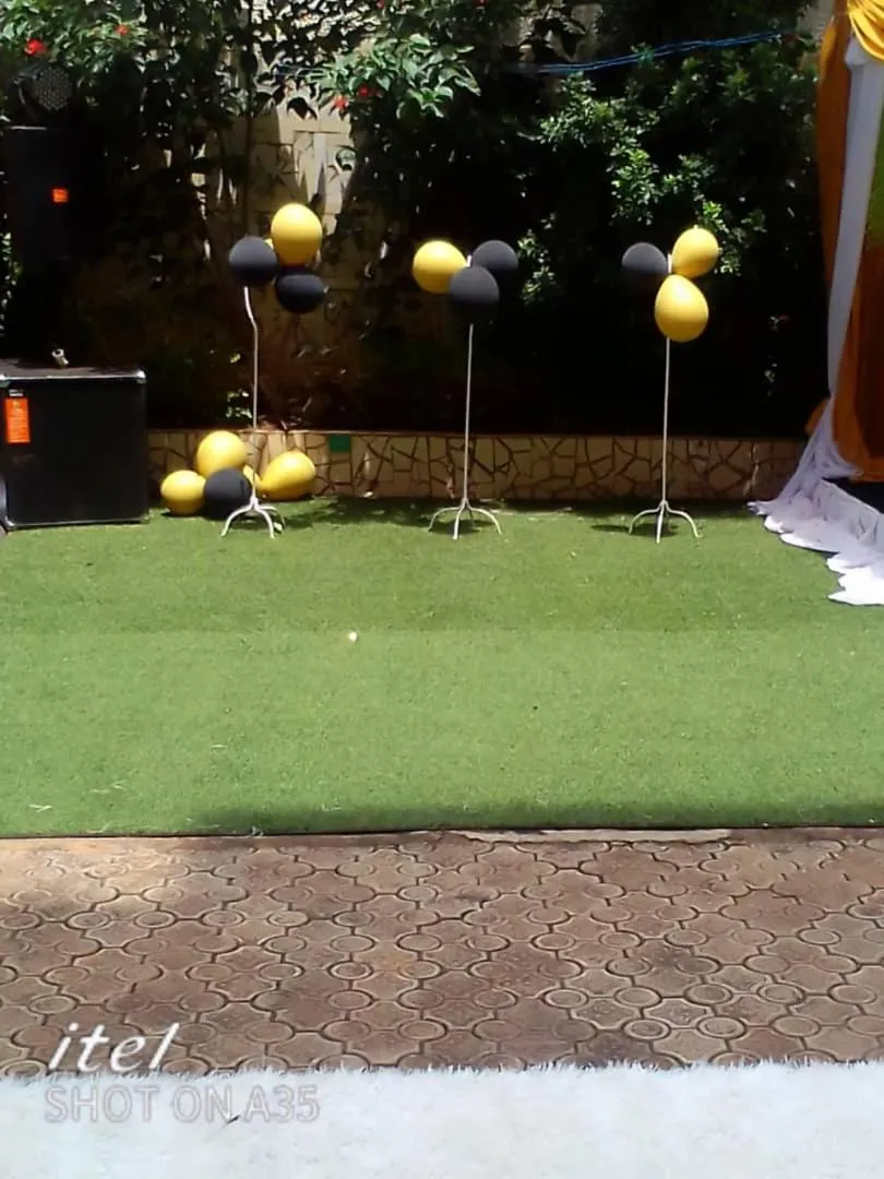 Garden view in International summit palace