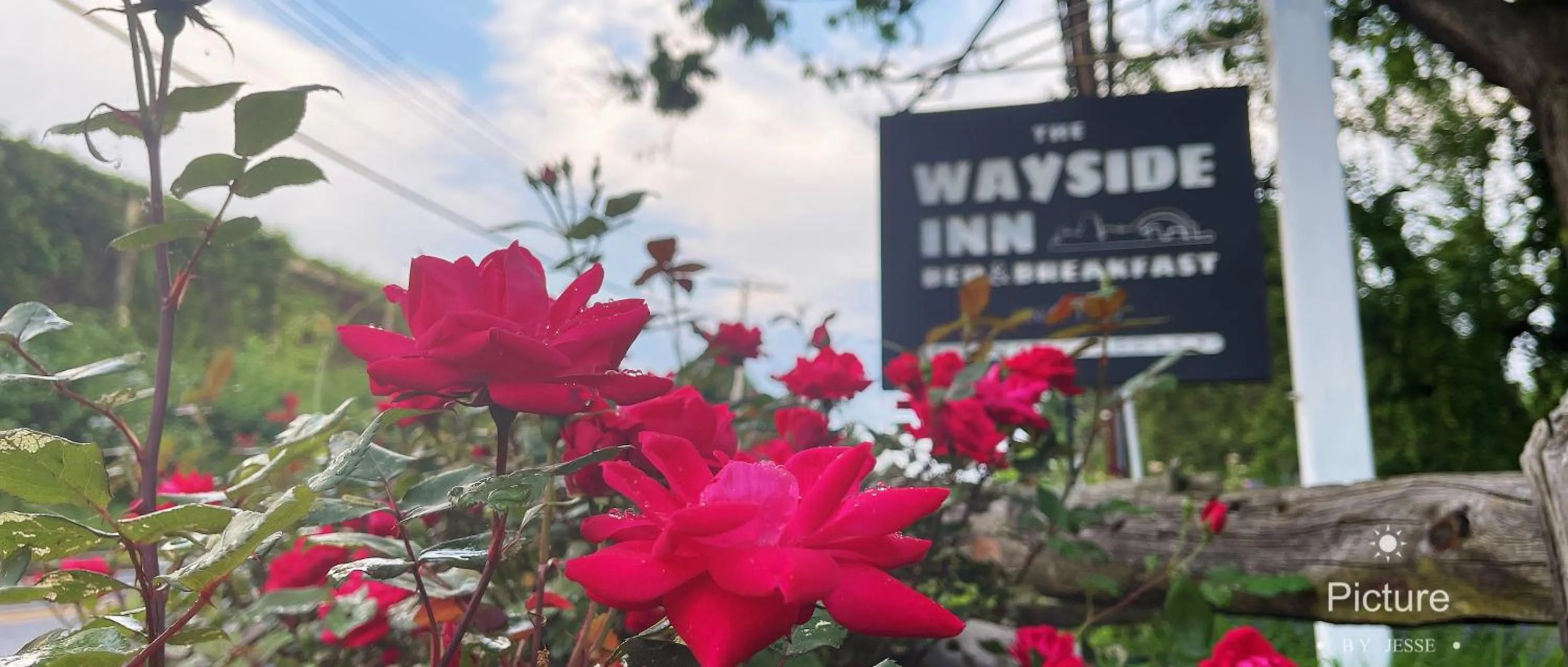 Wayside Inn Bed and Breakfast