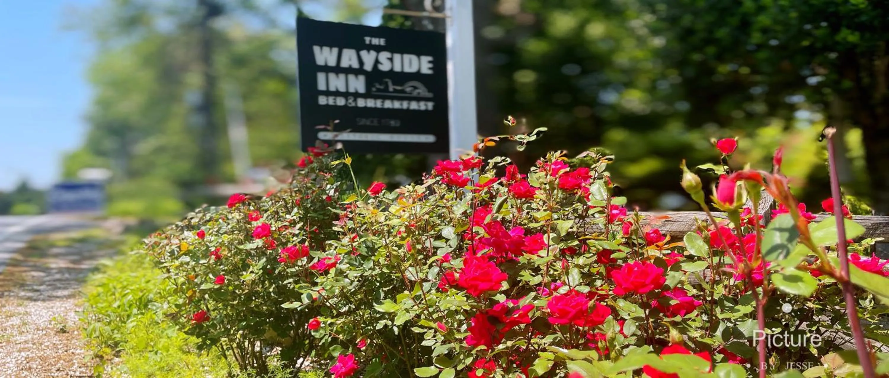Wayside Inn Bed and Breakfast