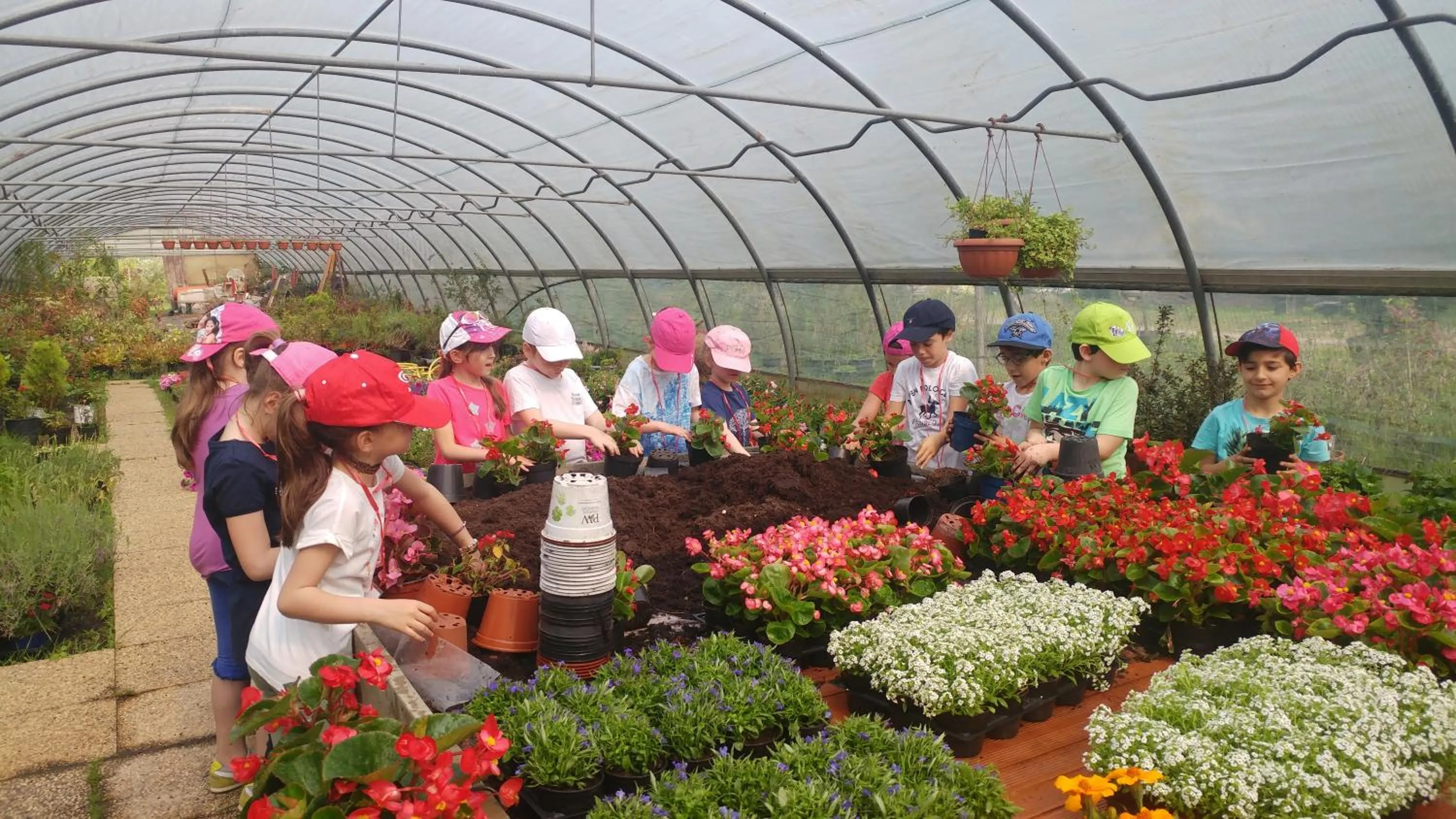 Agriturismo Parco Campofelice