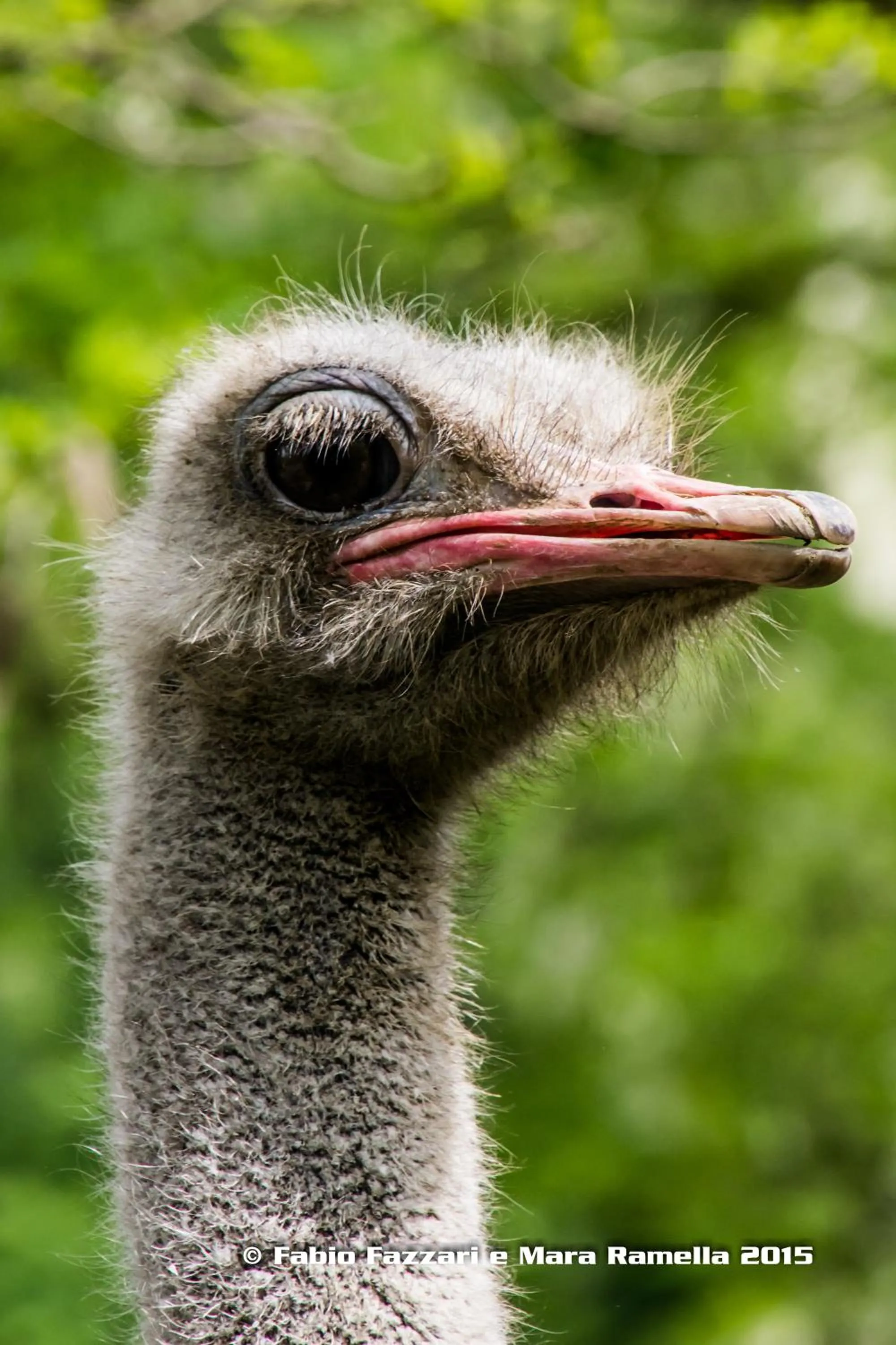 Agriturismo Parco Campofelice