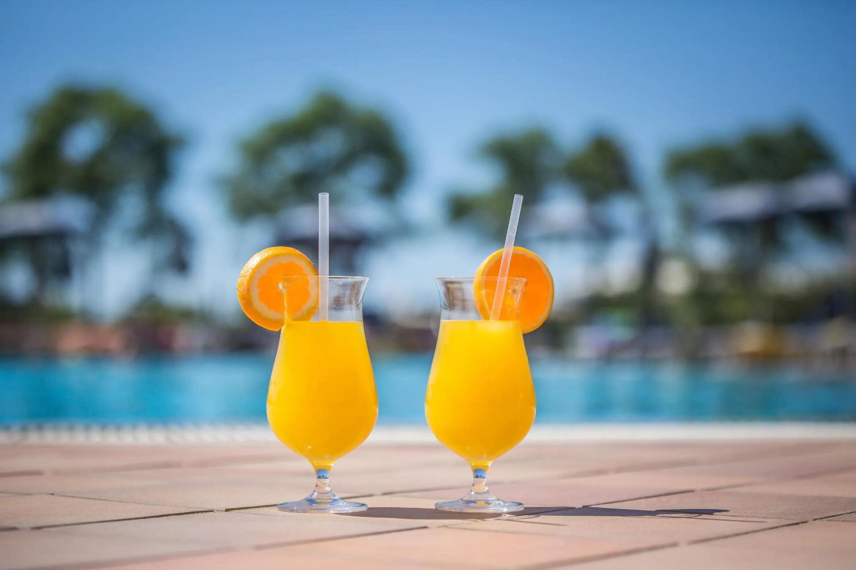 Drinks in Hotel Royal