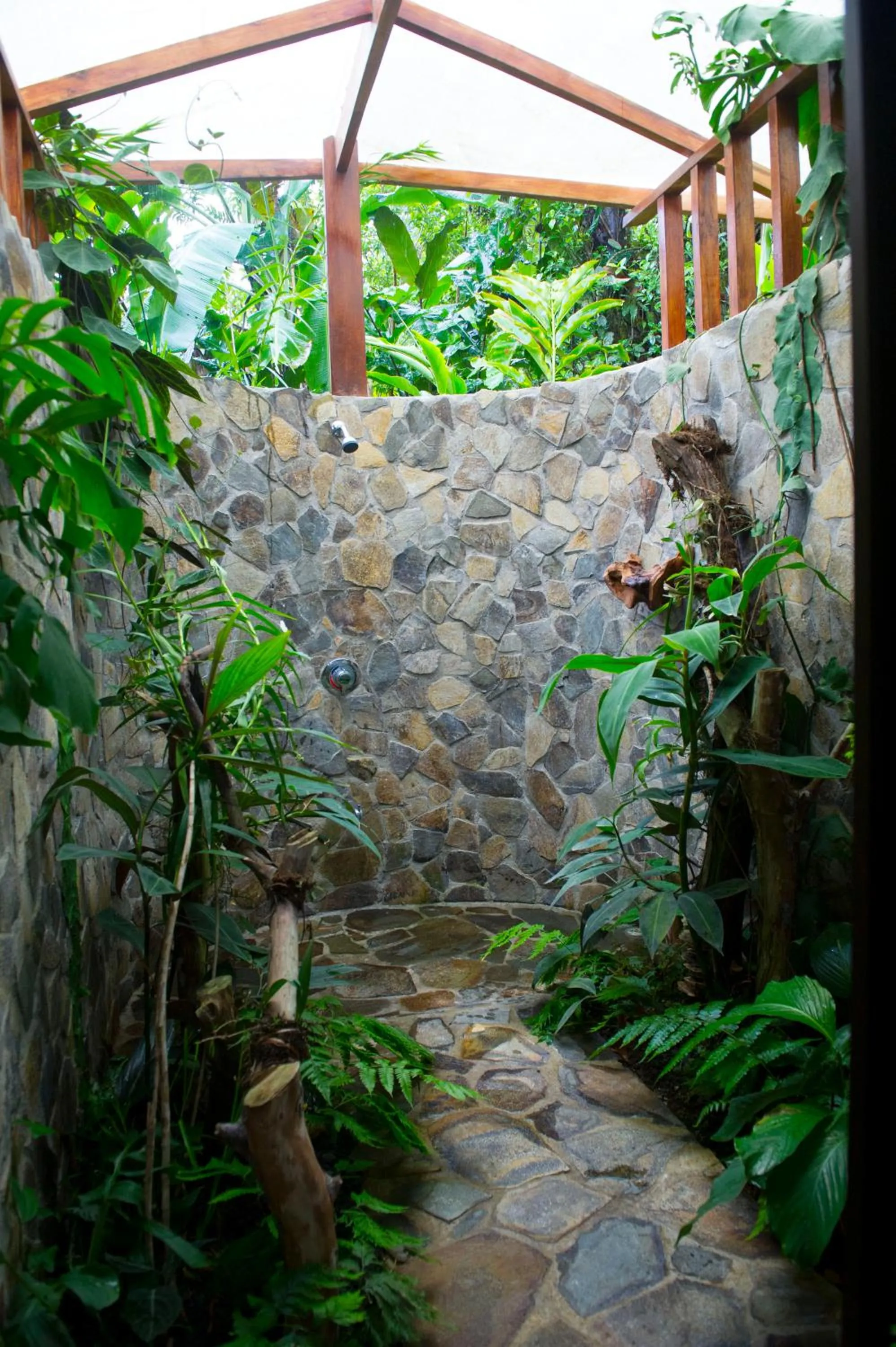 Classic Suite in Hotel Catarata Río Celeste