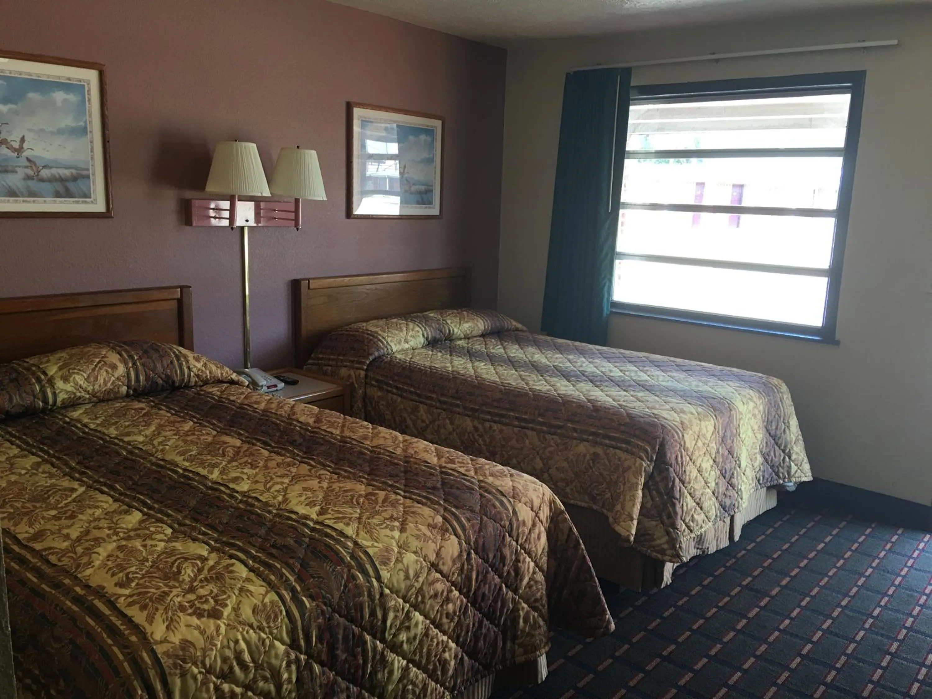 Bed in Best Value Inn Motel Sandusky