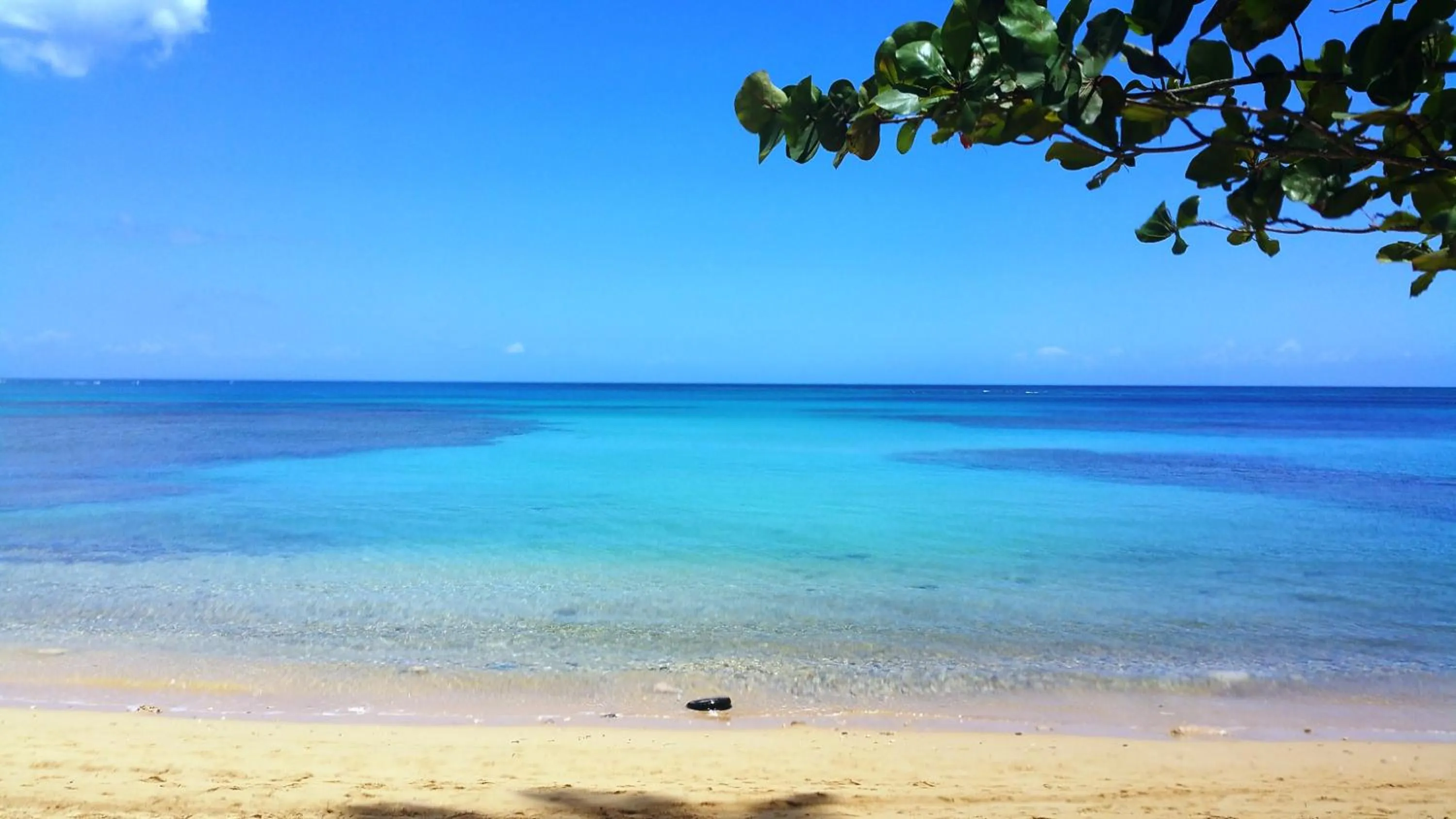 Beach in Aligio Apart-hotel & Spa - Las Terrenas