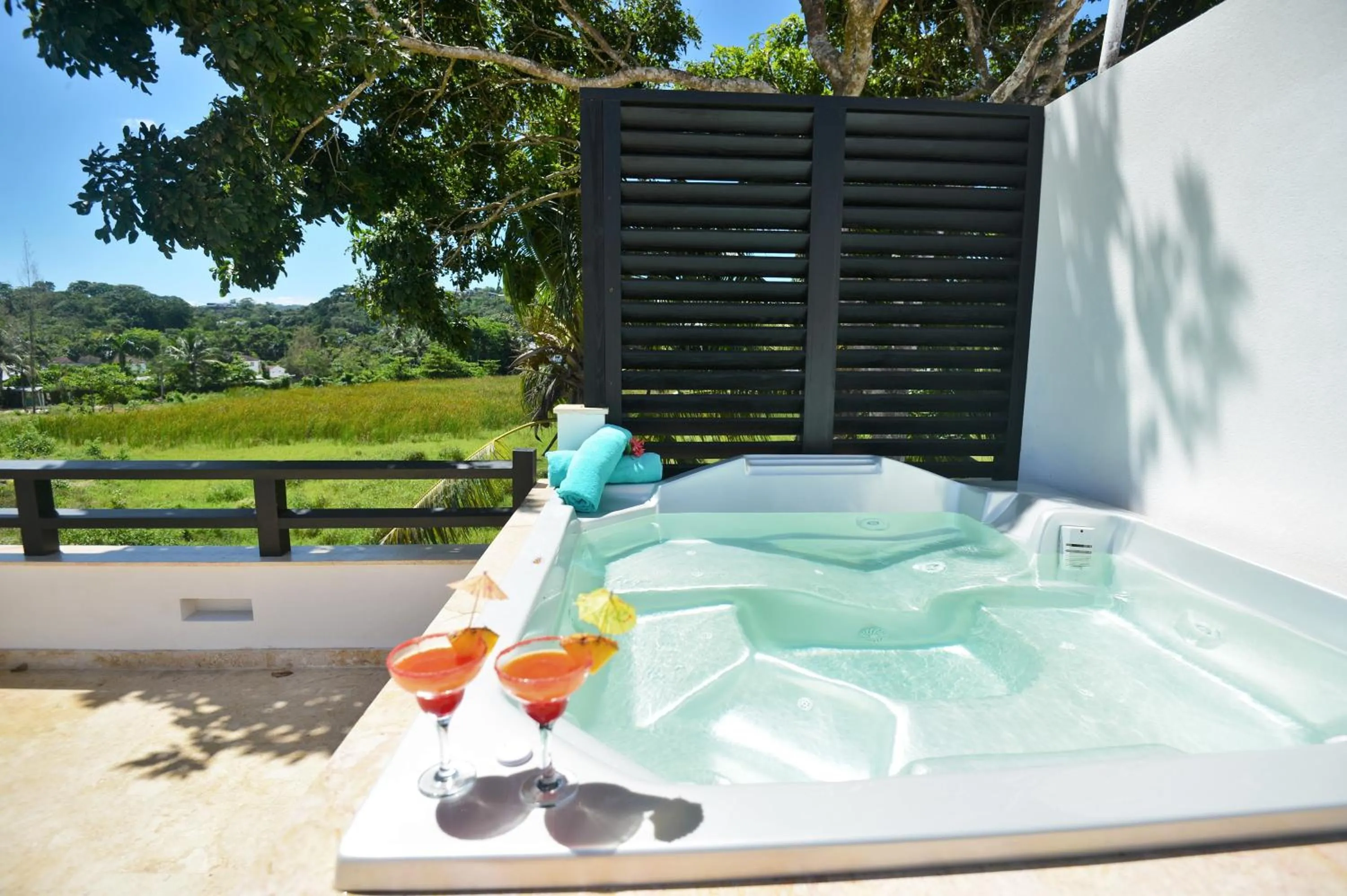 Balcony/Terrace in Aligio Apart-hotel & Spa - Las Terrenas