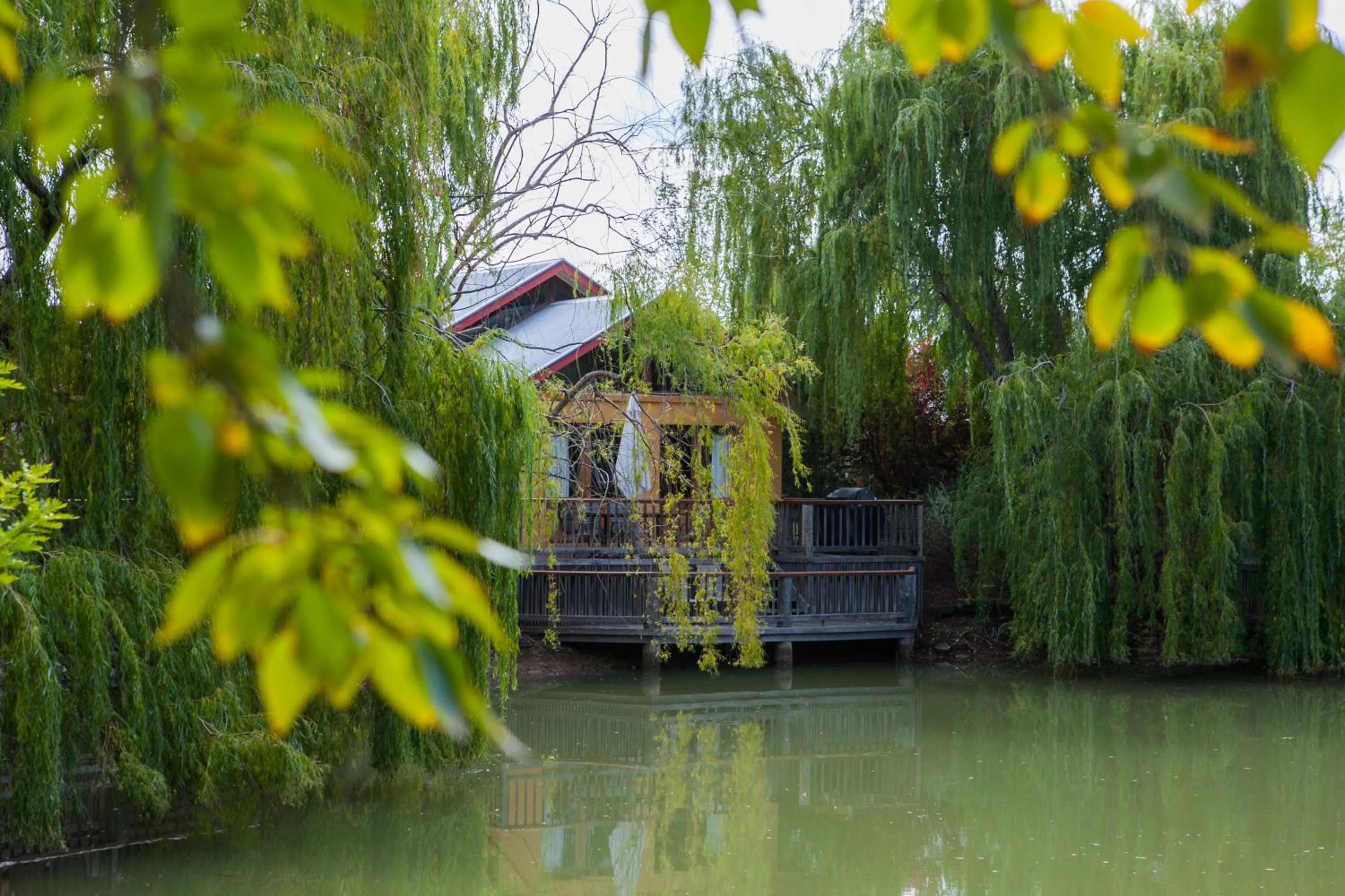 Balcony/Terrace in Perricoota Vines Retreat