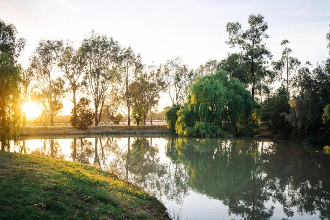 Other in Perricoota Vines Retreat