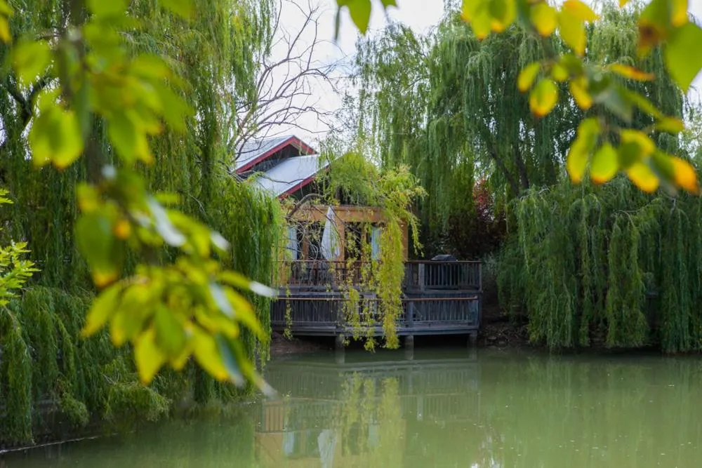 Garden in Perricoota Vines Retreat