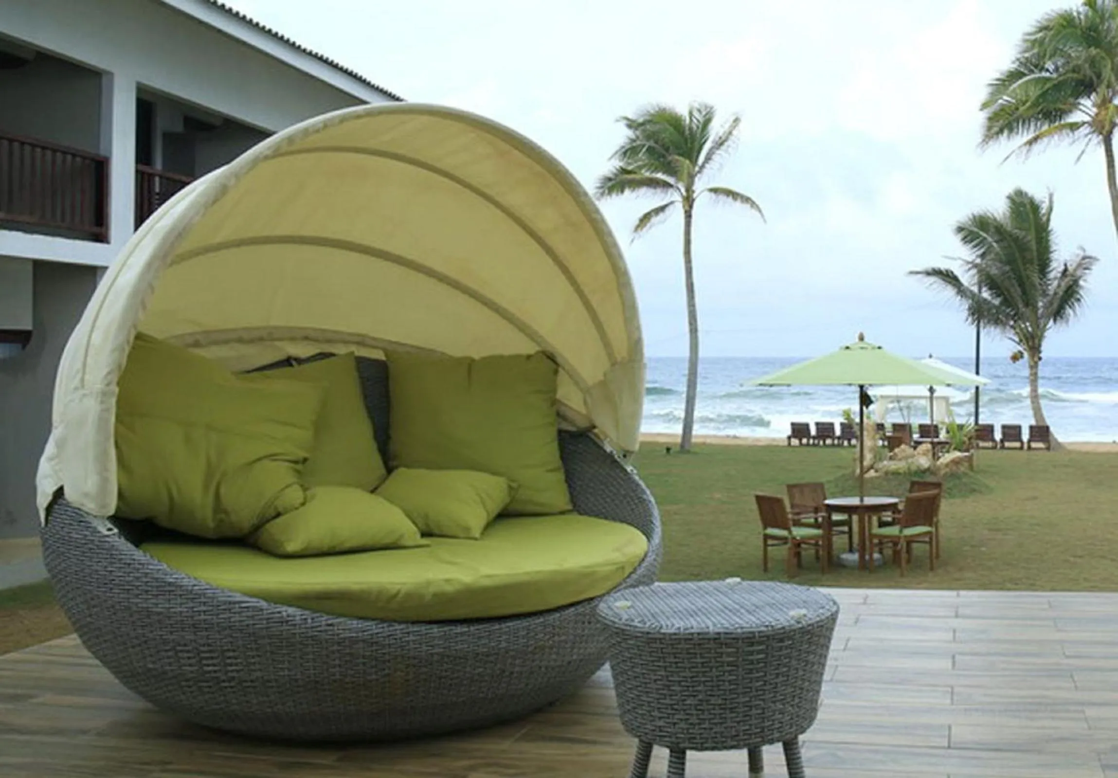 Garden in Avenra Beach Hikkaduwa