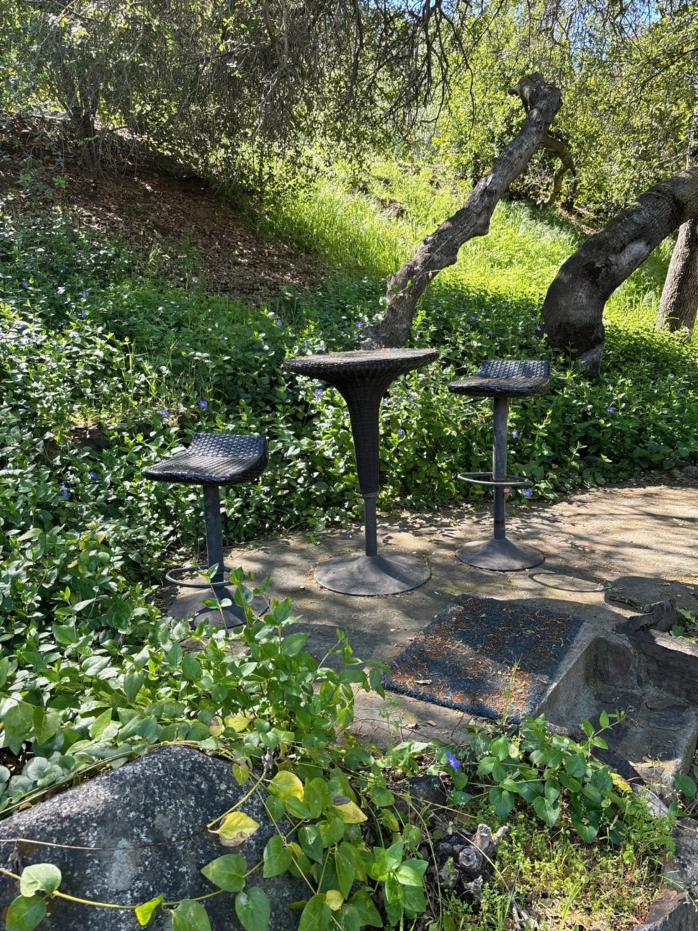 Patio in Sequoia River Front Cabins