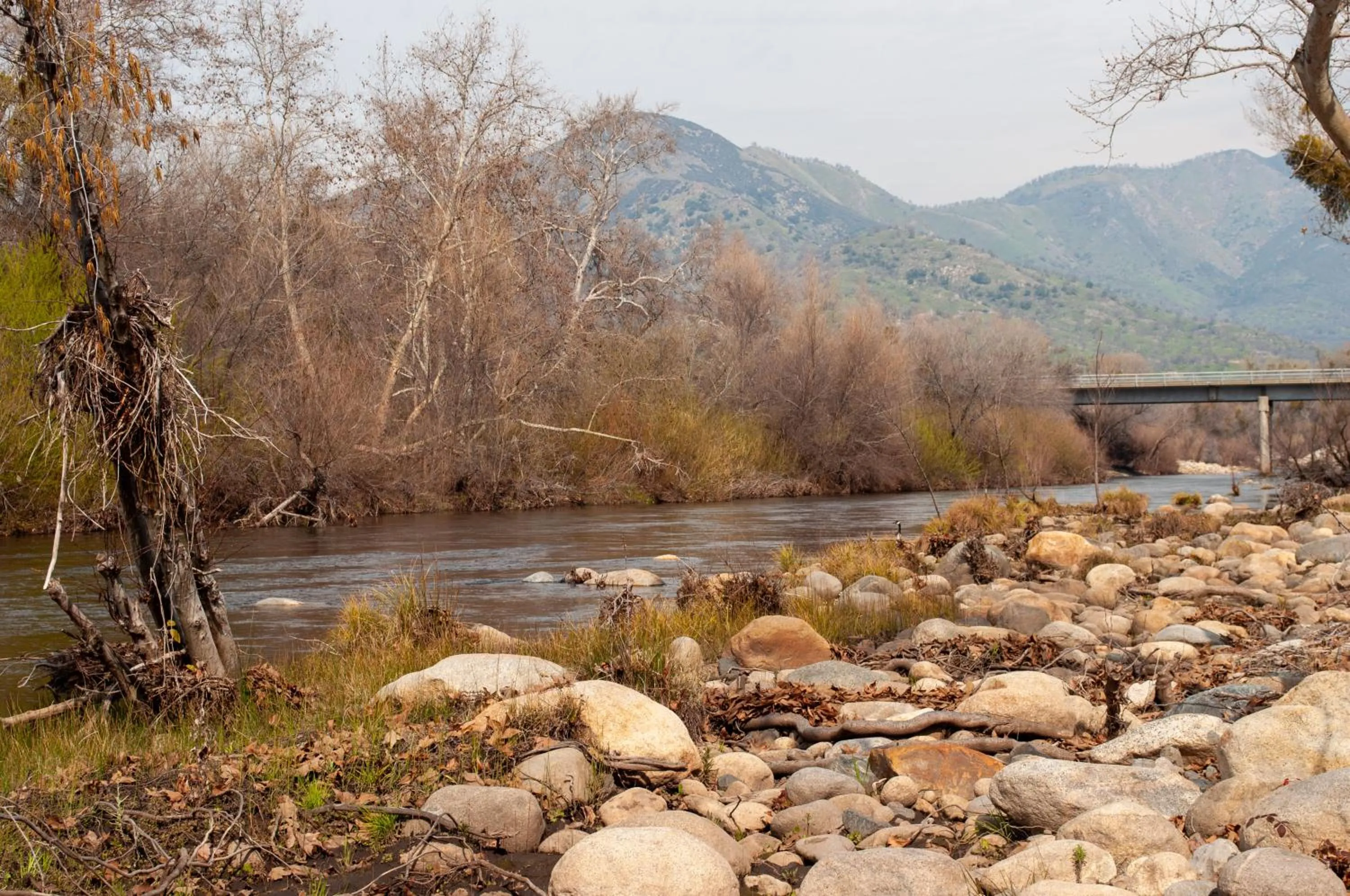 Natural landscape in Sequoia River Front Cabins