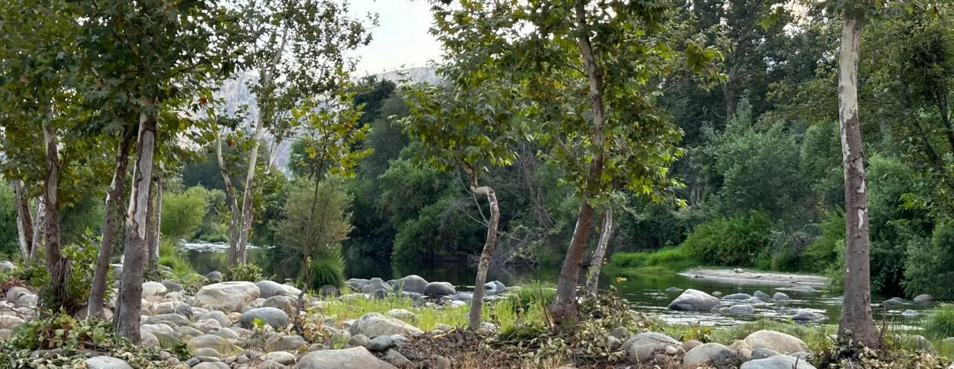 Sequoia River Front Cabins