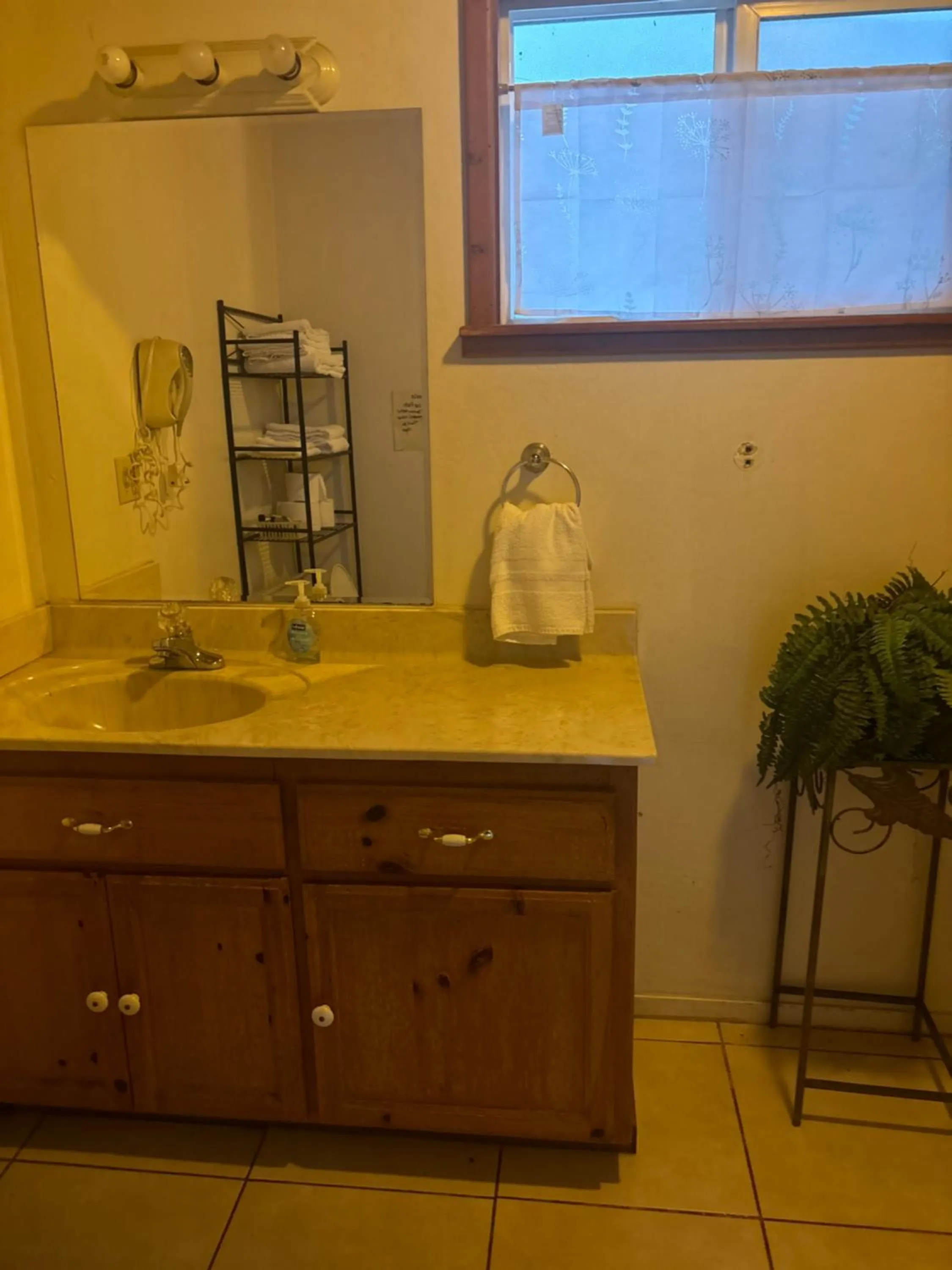 Sequoia River Front Cabins