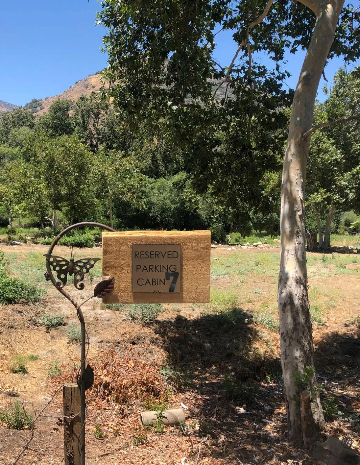 Parking in Sequoia River Front Cabins