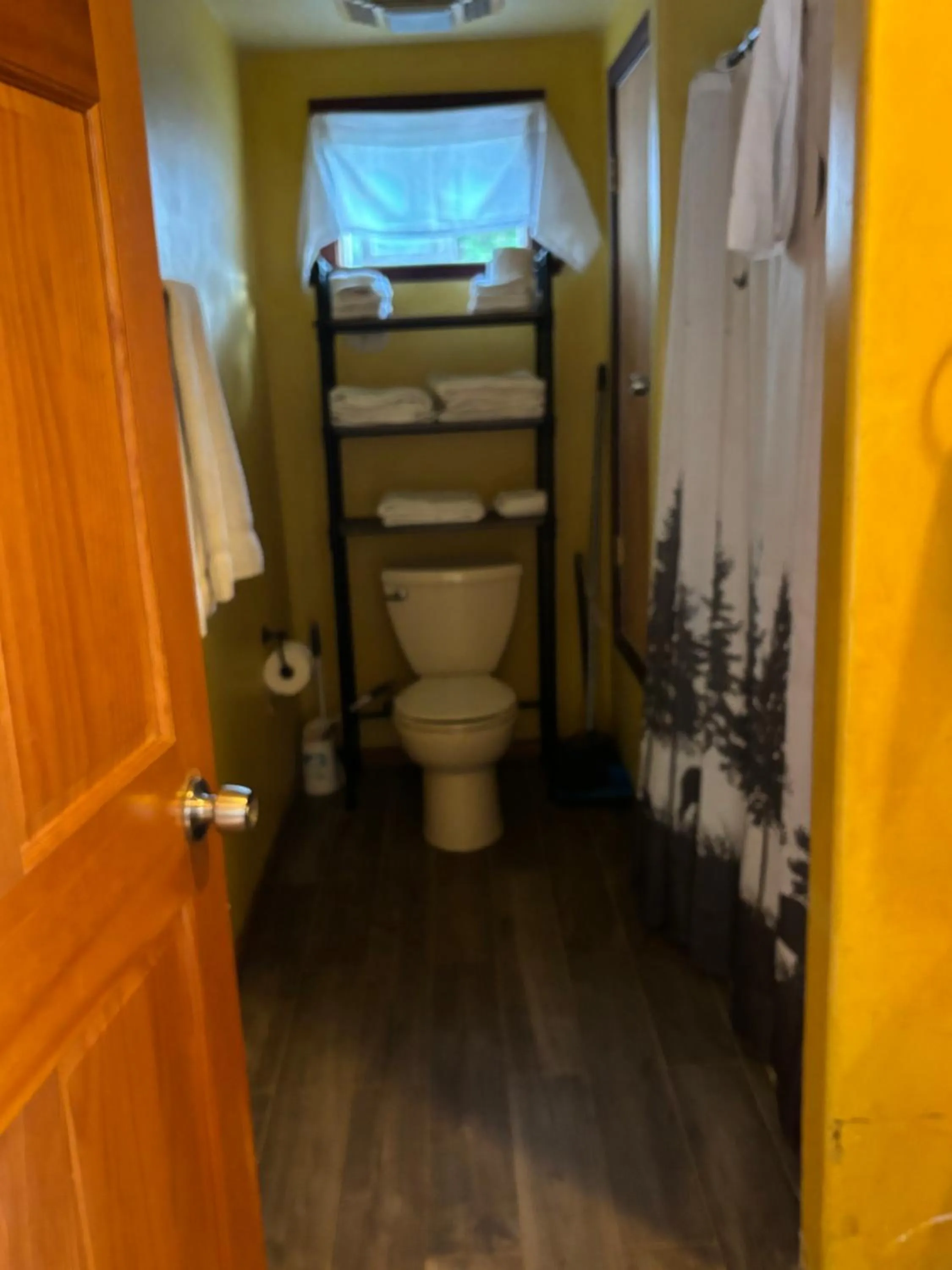 Bathroom in Sequoia River Front Cabins