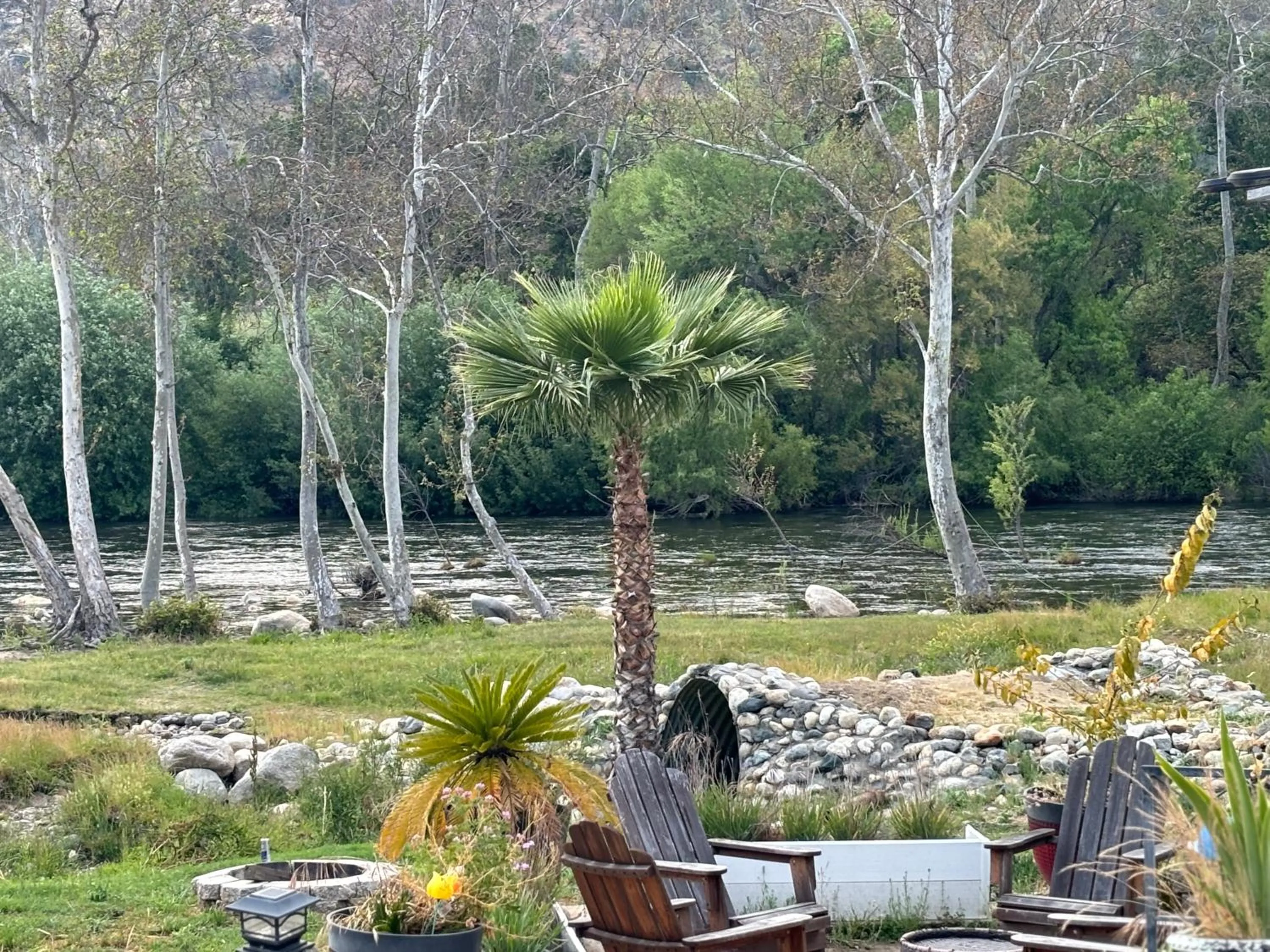 Natural landscape in Sequoia Riverfront Cabins