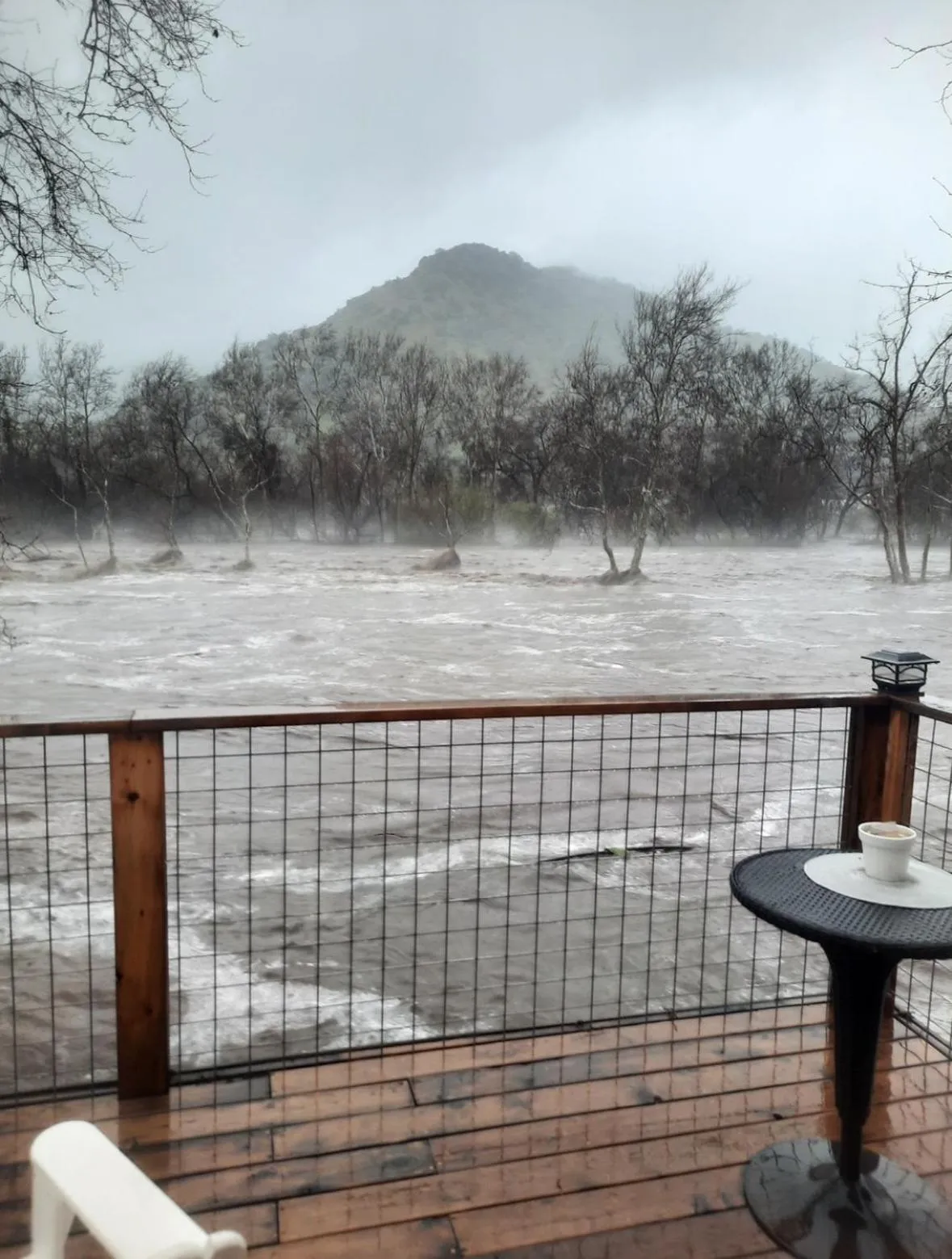 Natural landscape in Sequoia River Front Cabins