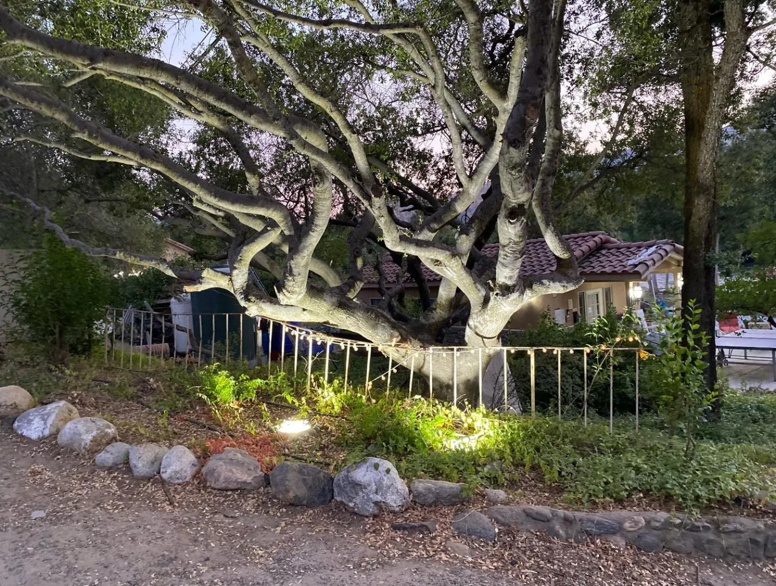 Street view in Sequoia River Front Cabins