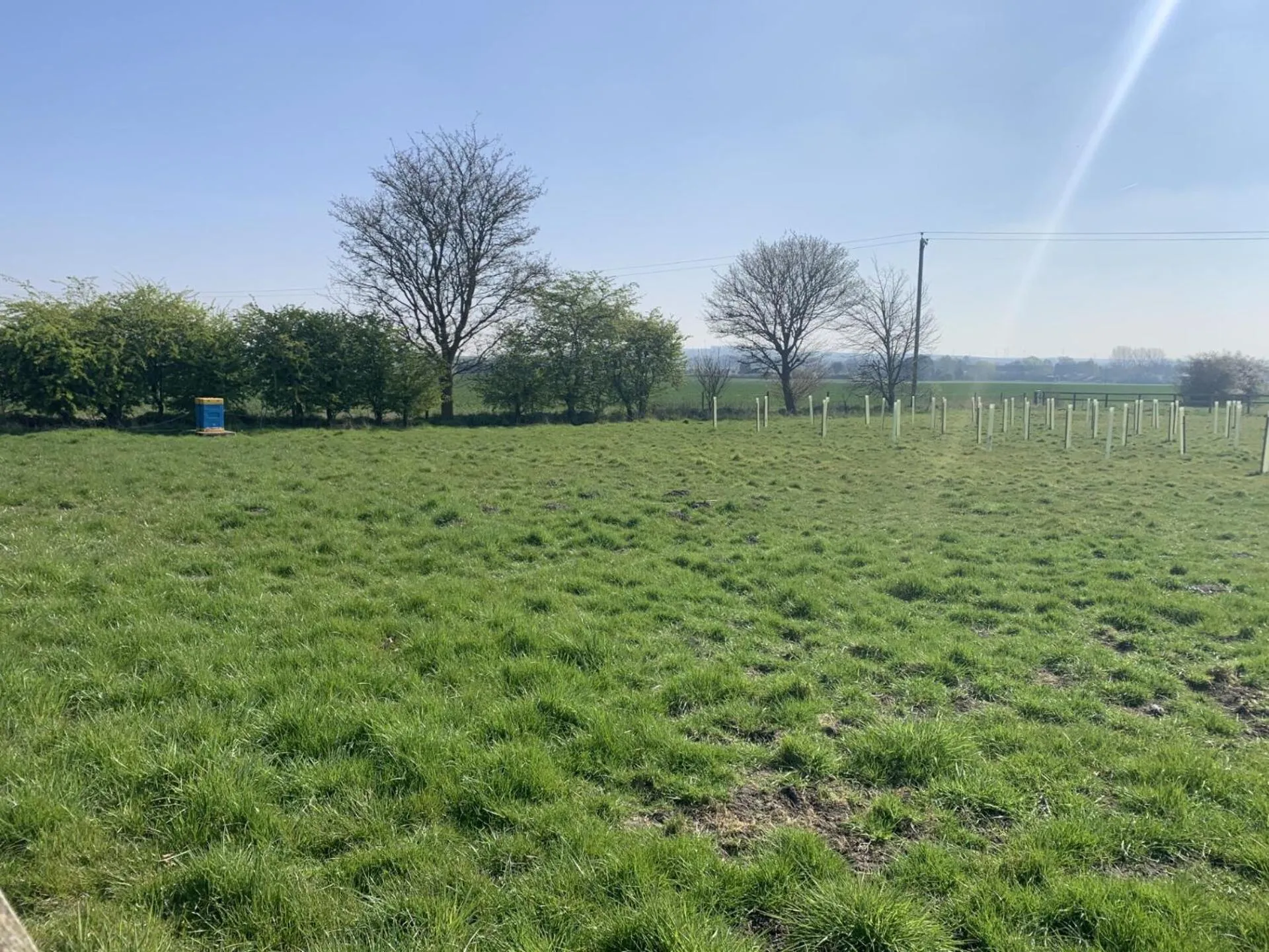 View (from property/room) in Robeanne House Holiday Accommodation