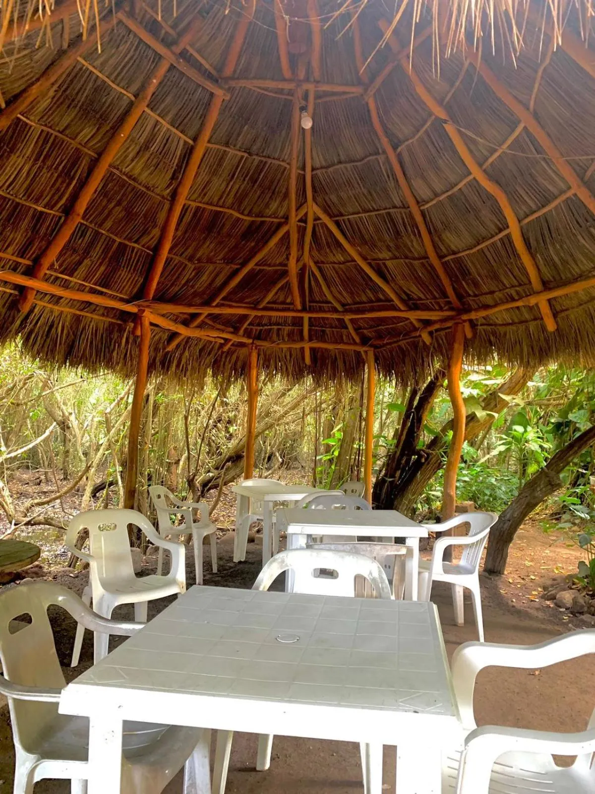 Day in Manglar Pacific