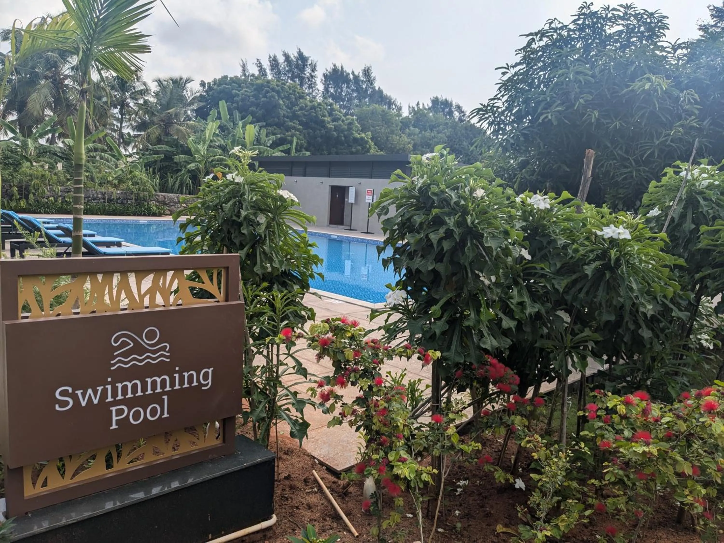 Swimming pool in Fortune Beach Resort ECR, Chennai - Member ITC Hotels' Group