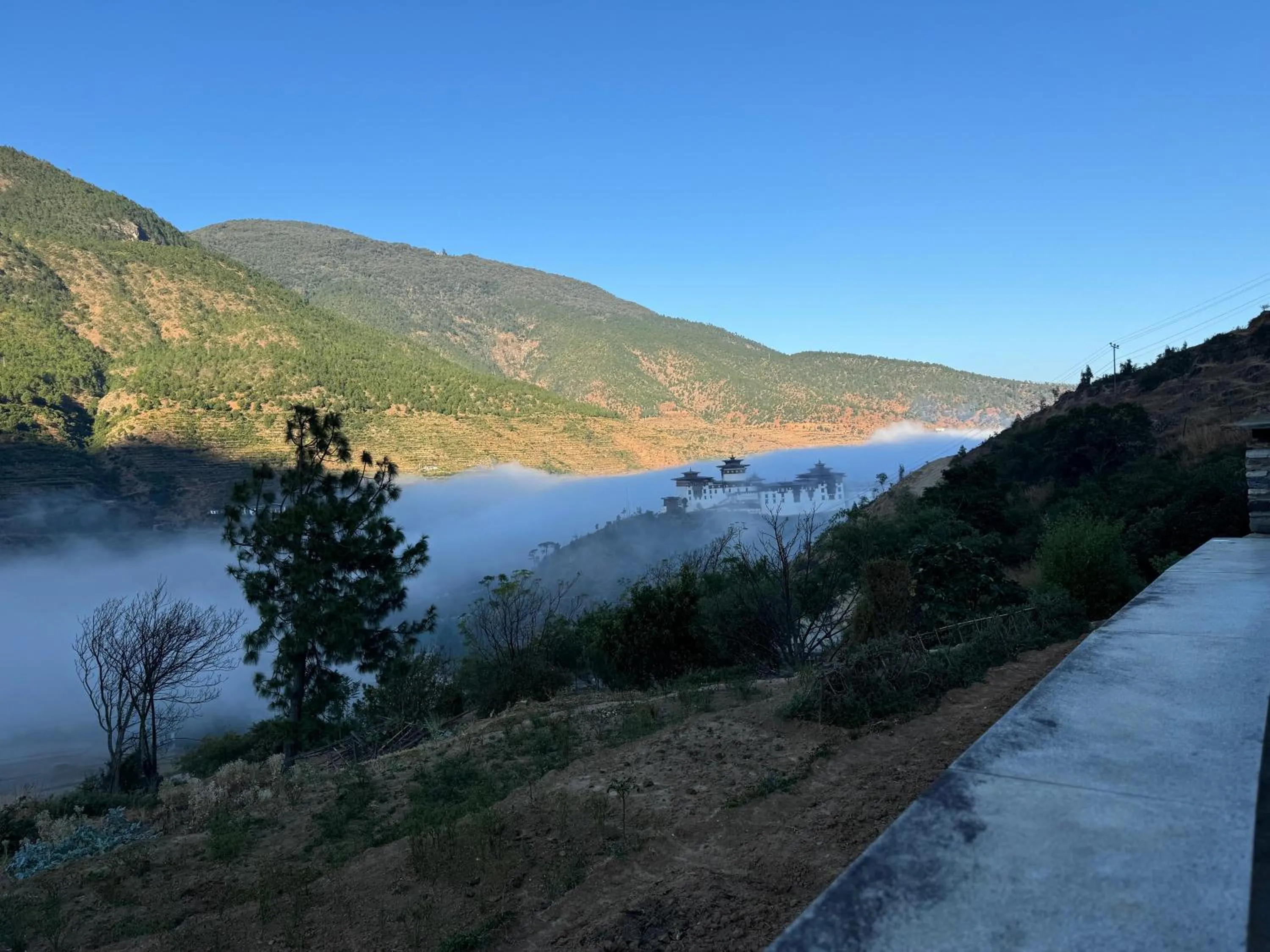 Property building in Wangdue Ecolodge