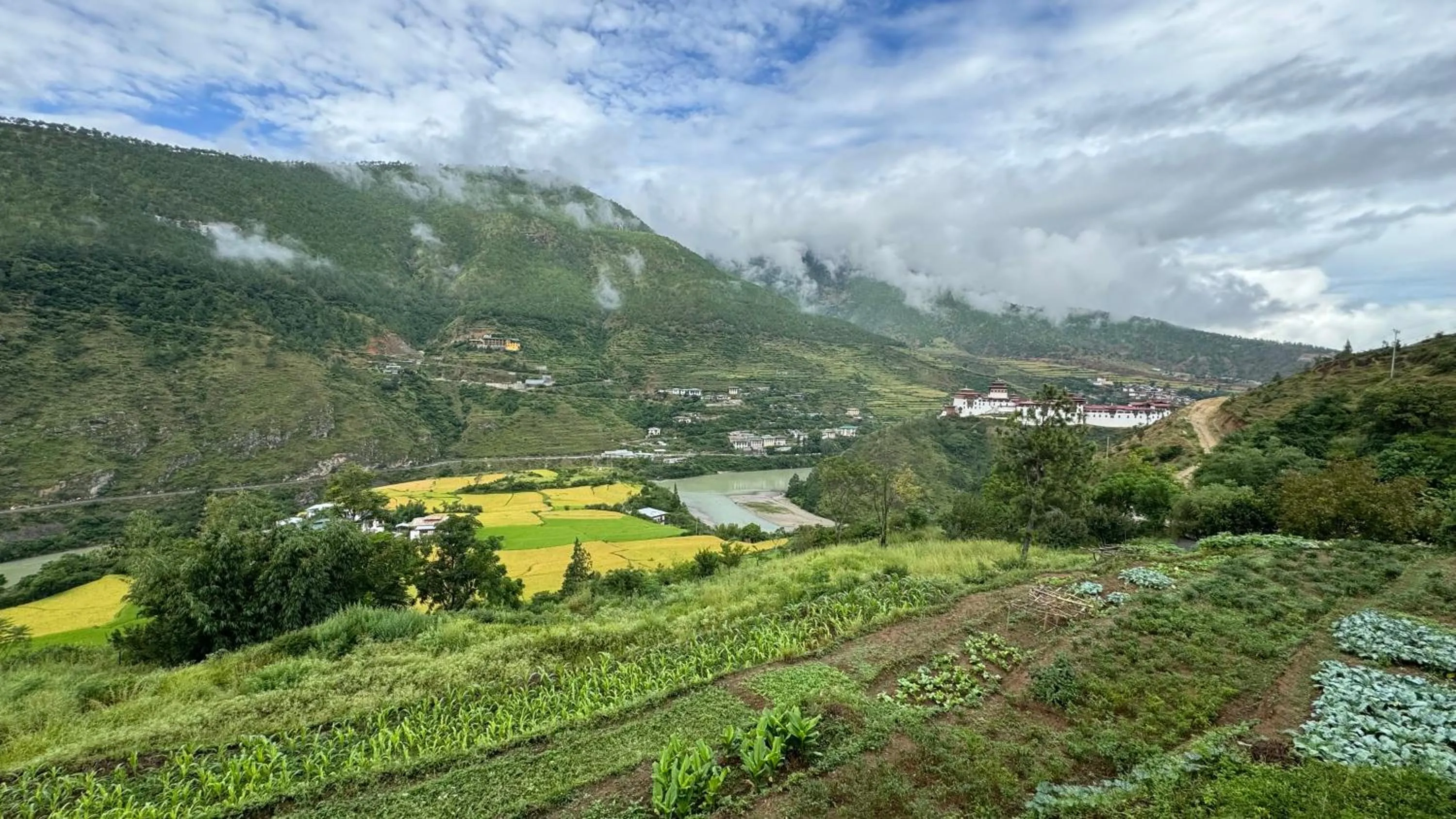 Mountain view in Wangdue Ecolodge