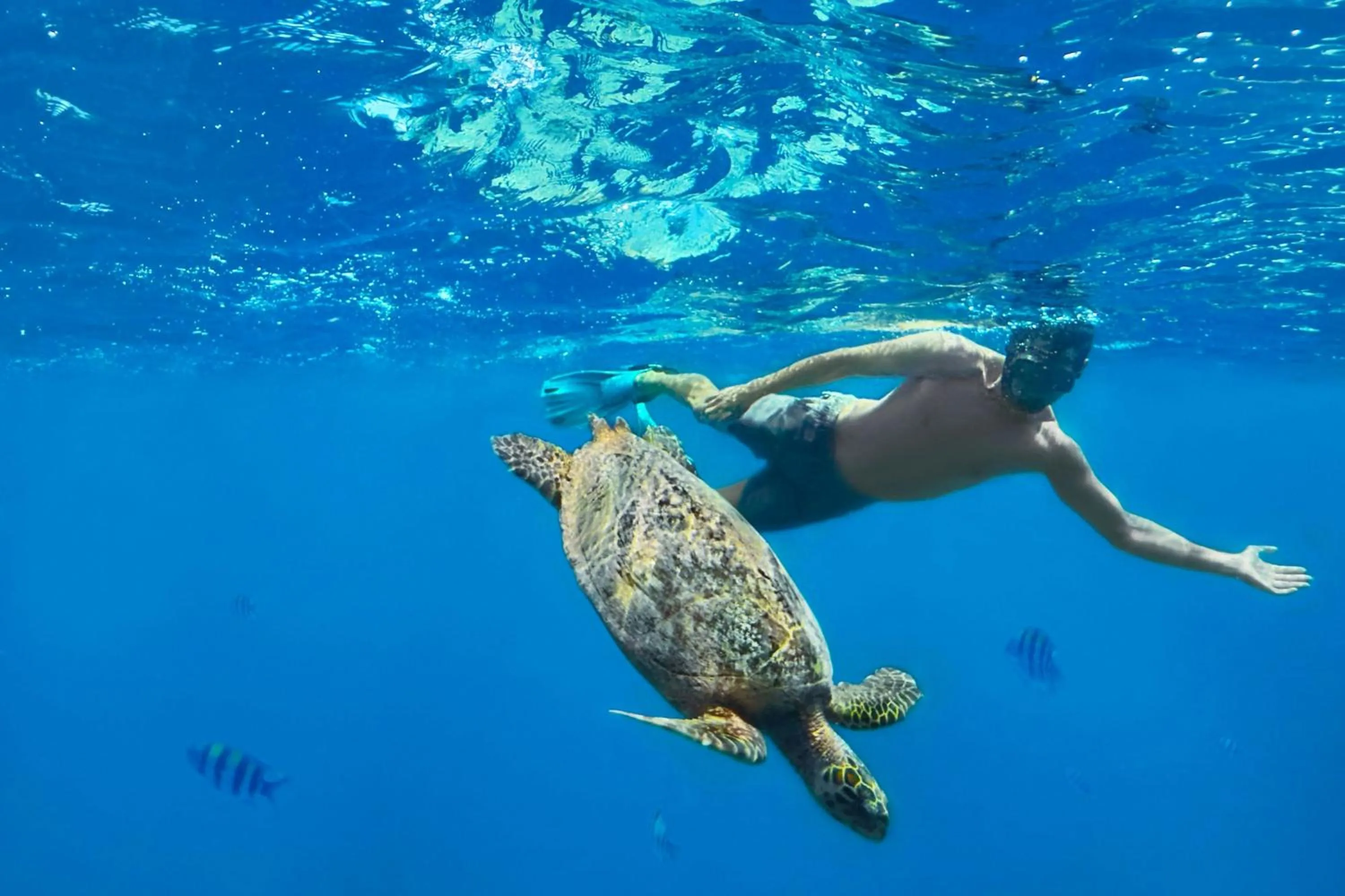 Other in The Sira, a Luxury Collection Resort and Spa, Lombok