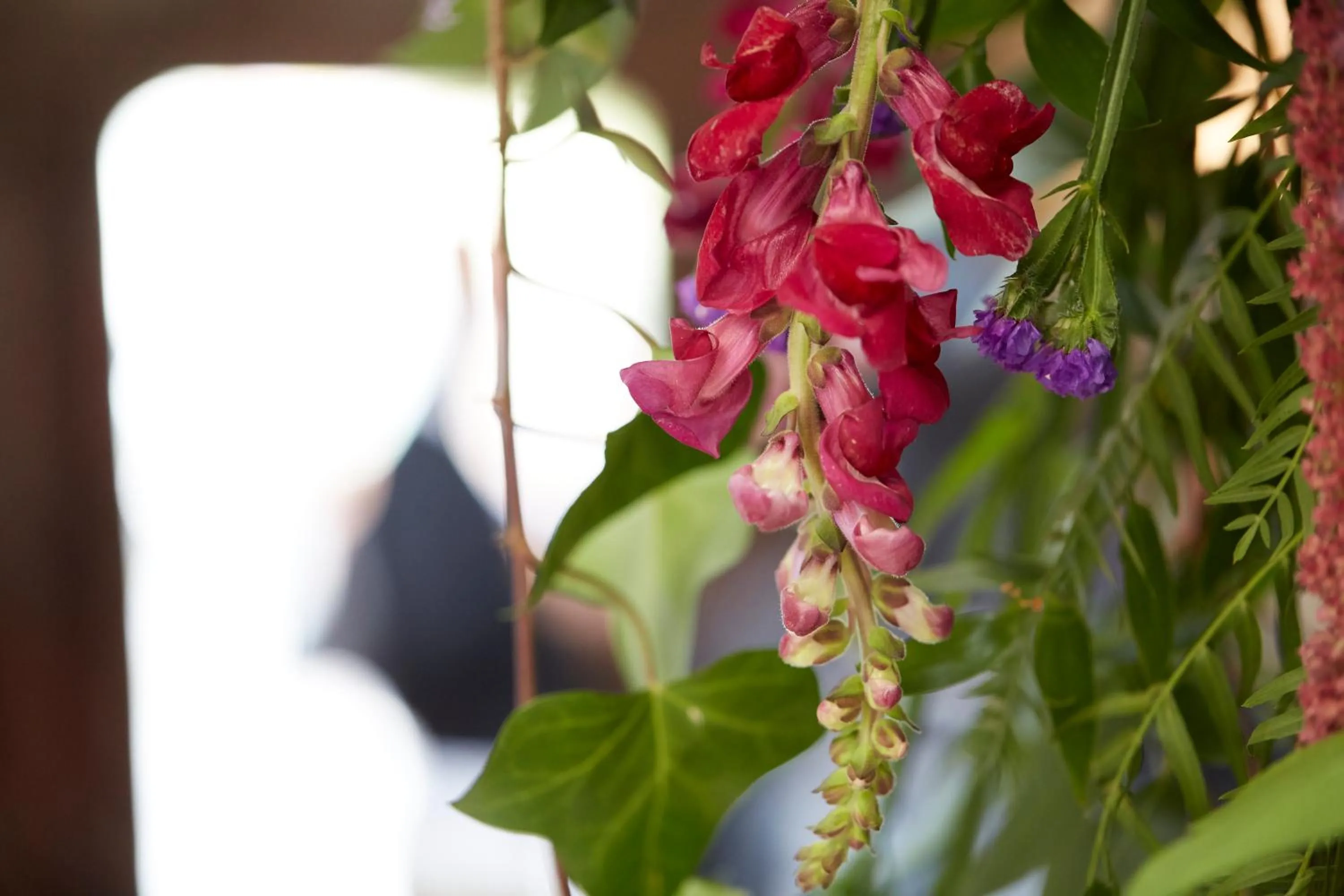 Hotel Convento San Roque