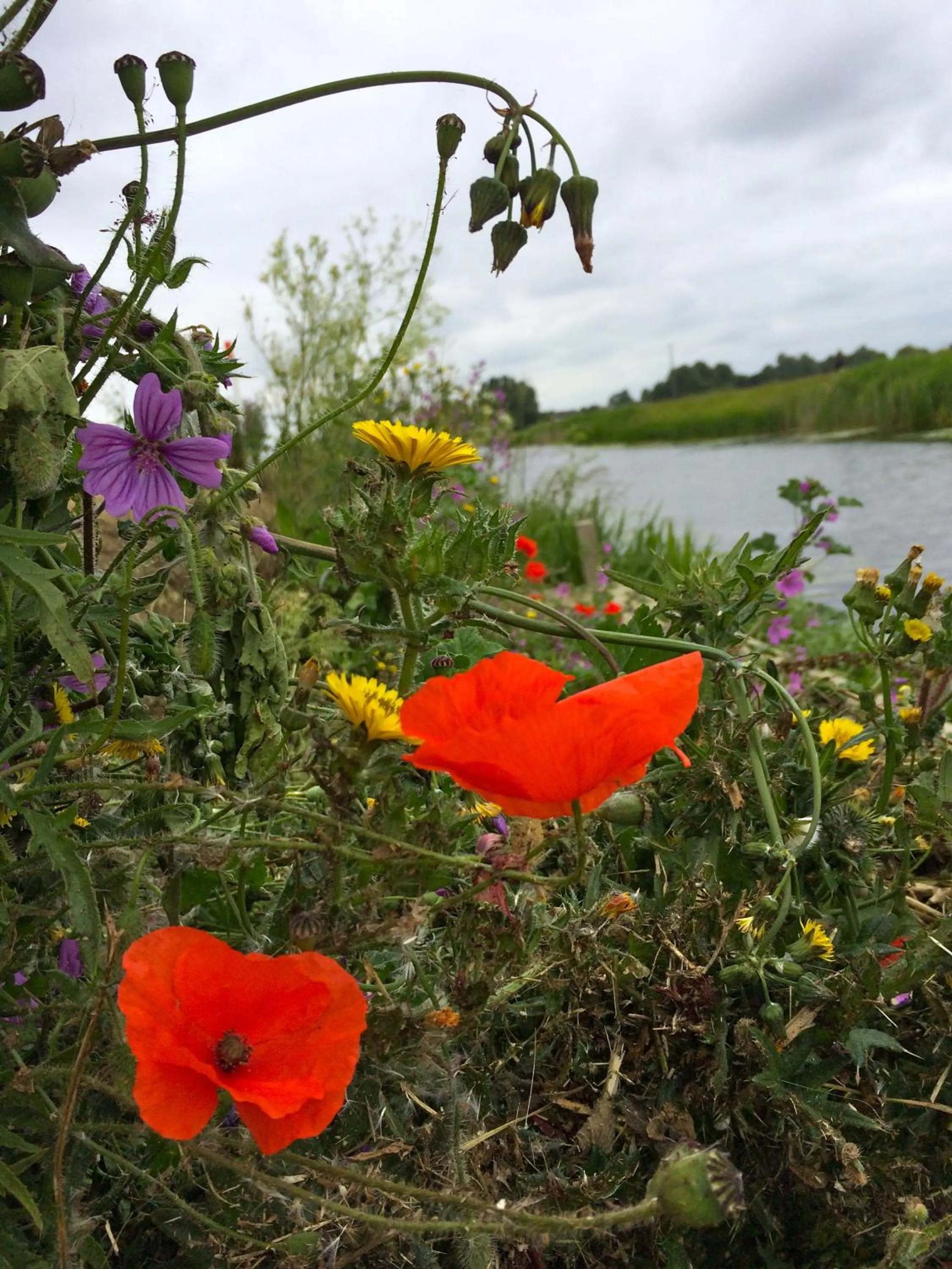 Natural landscape in Fourwinds B&B