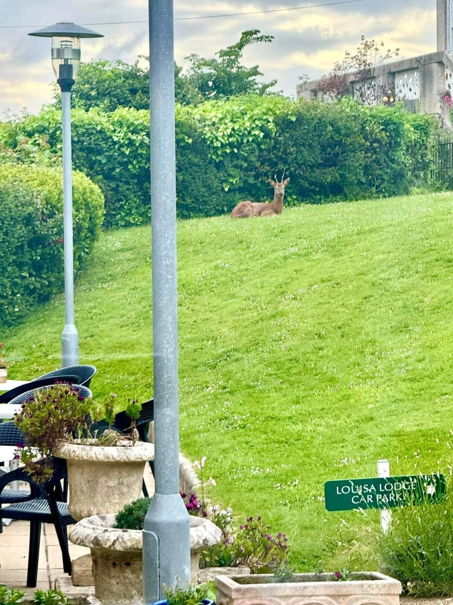 Purbeck House Hotel & Louisa Lodge