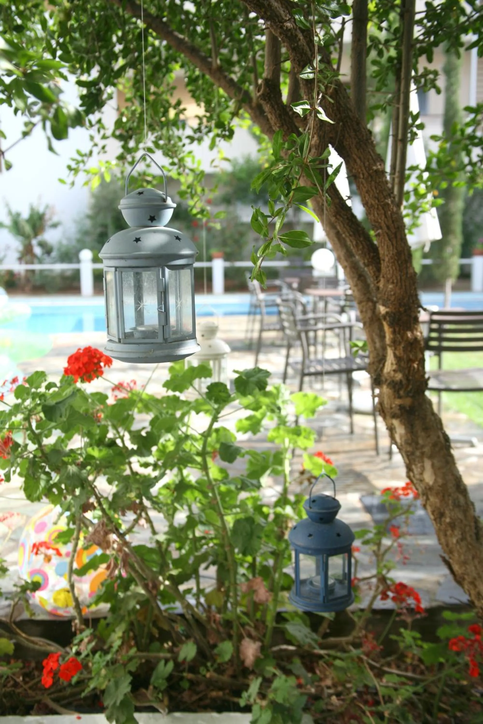 Garden in Proimos Maisonnettes