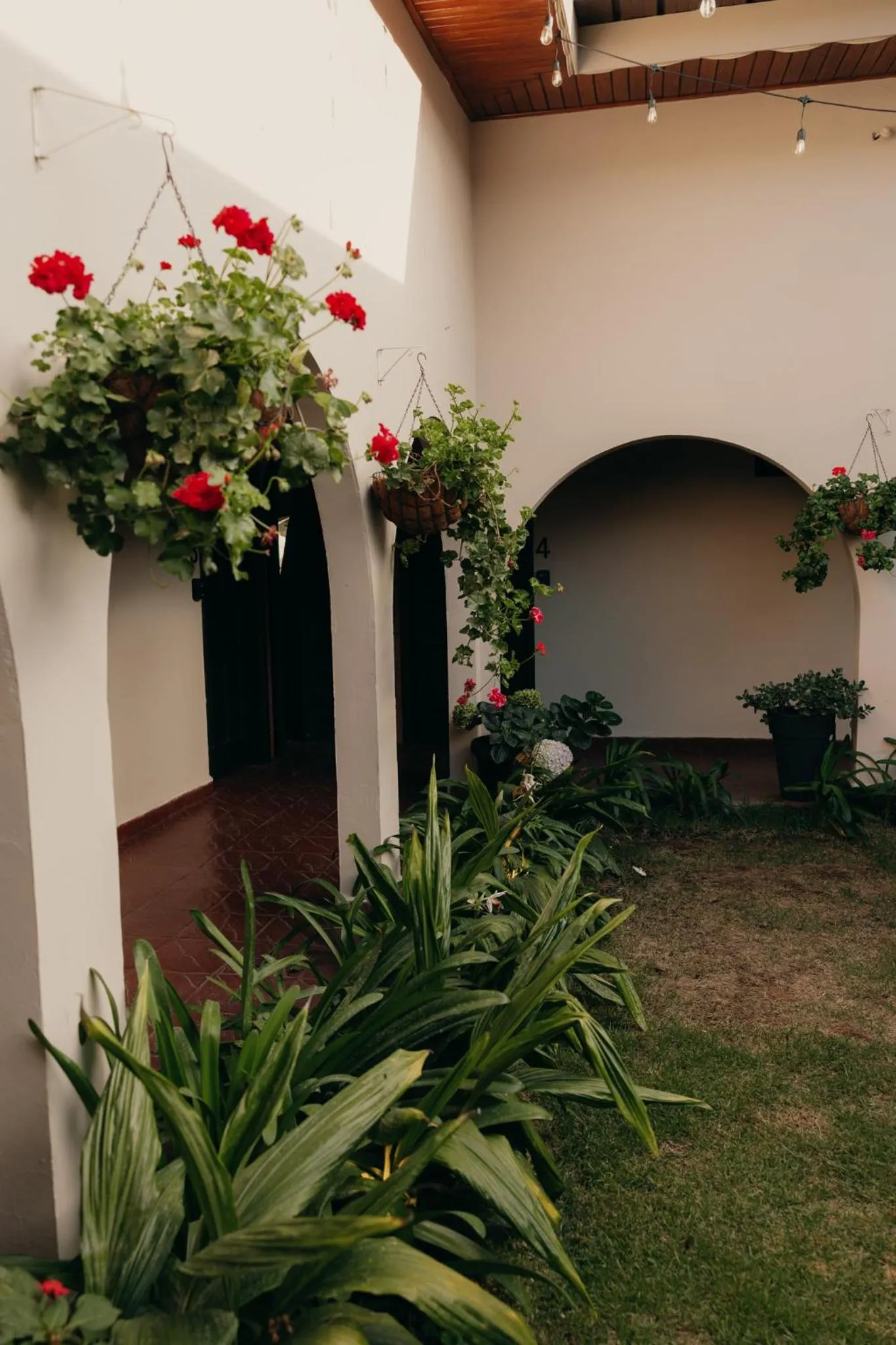Patio in Hotel Boutique Rebequet