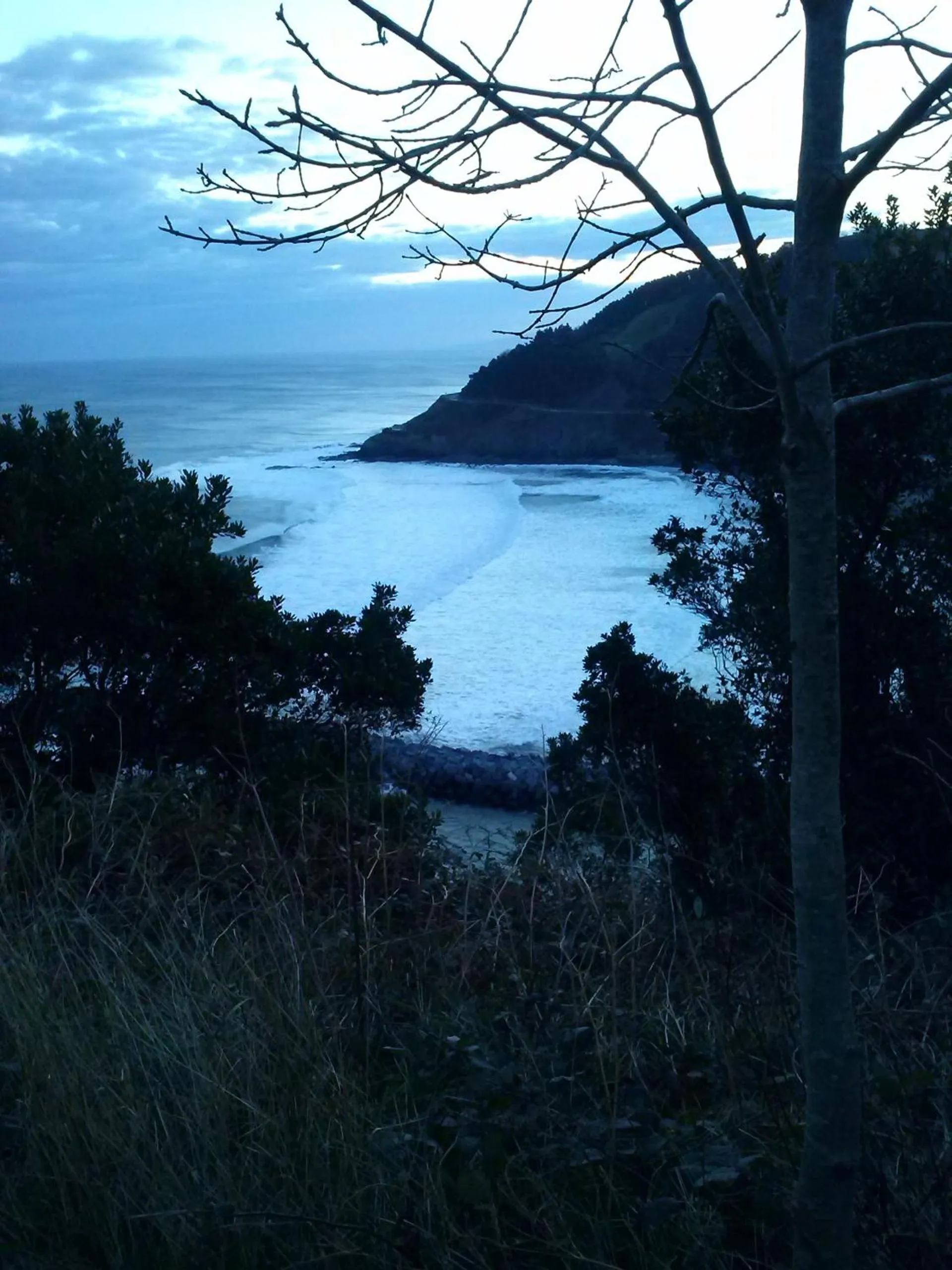 Natural landscape in Hotel Arbe