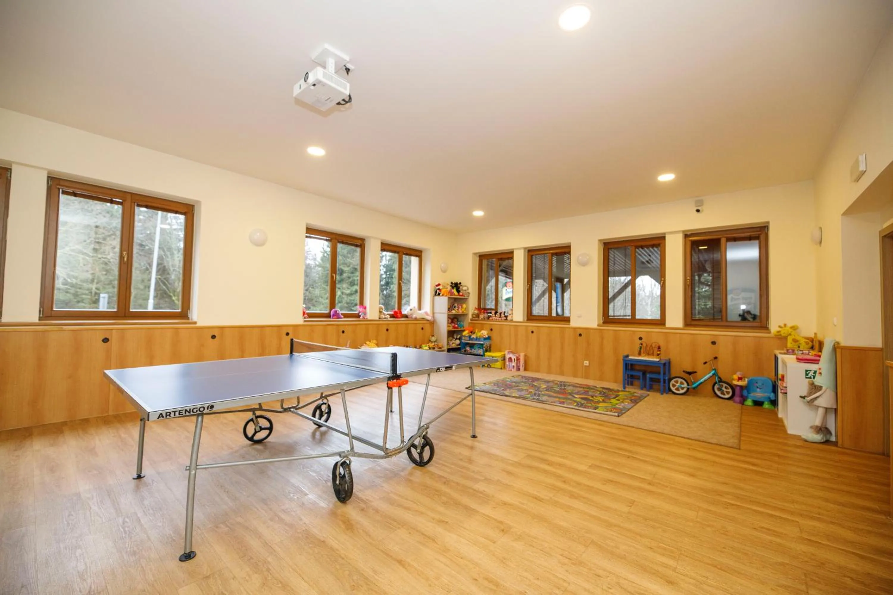 Table tennis in Amantis Vital Sport Hotel