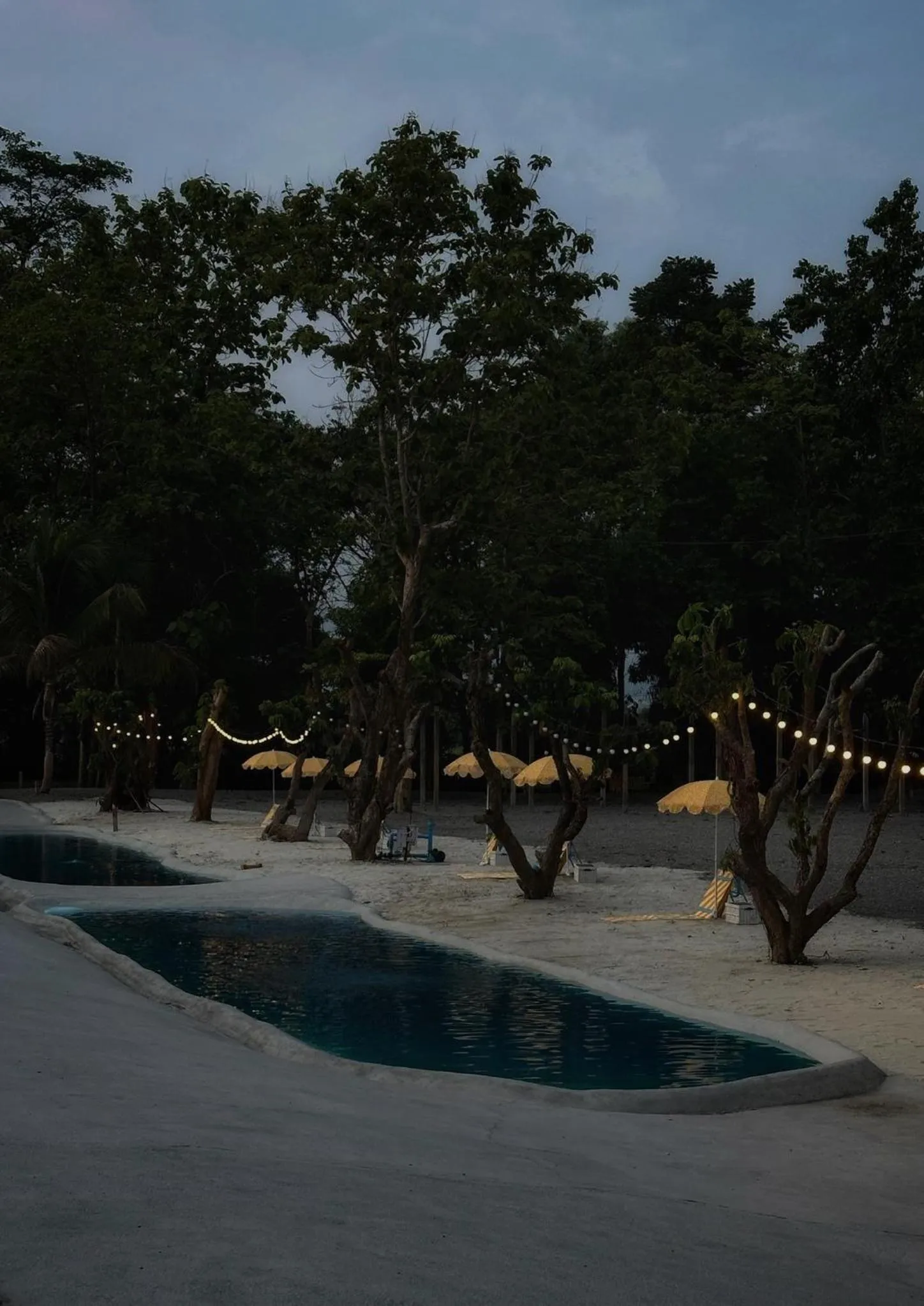 Waste Land Homestay & Resort Chiangmai