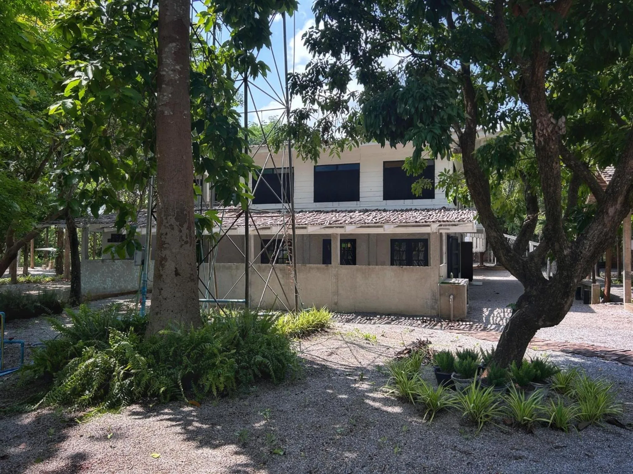 Waste Land Homestay & Resort Chiangmai