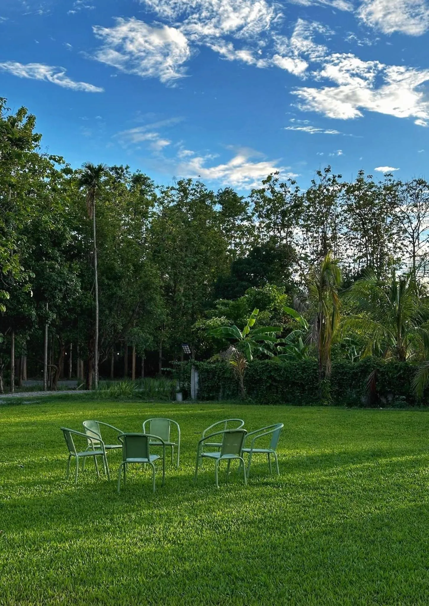 Waste Land Homestay & Resort Chiangmai