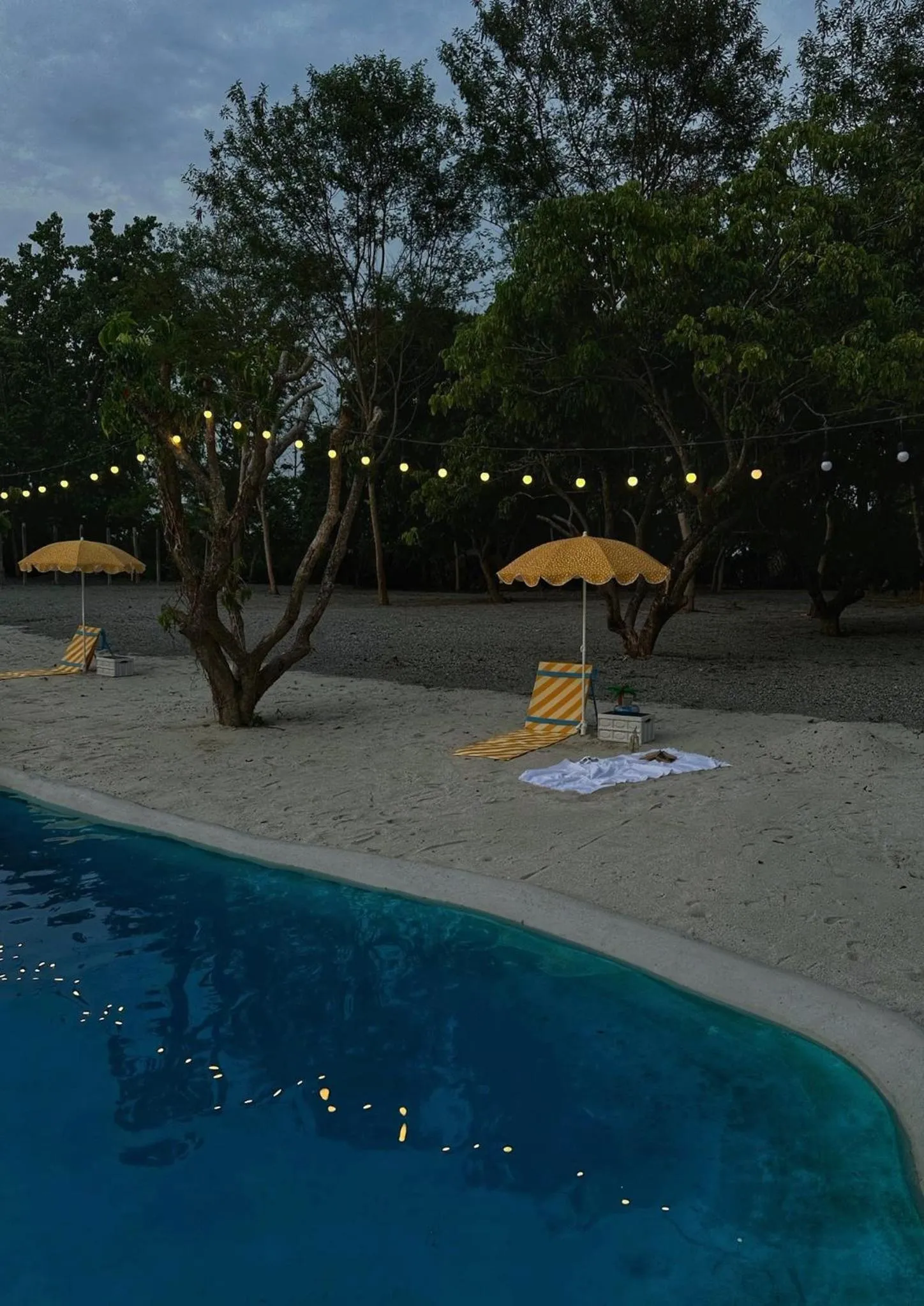 Waste Land Homestay & Resort Chiangmai