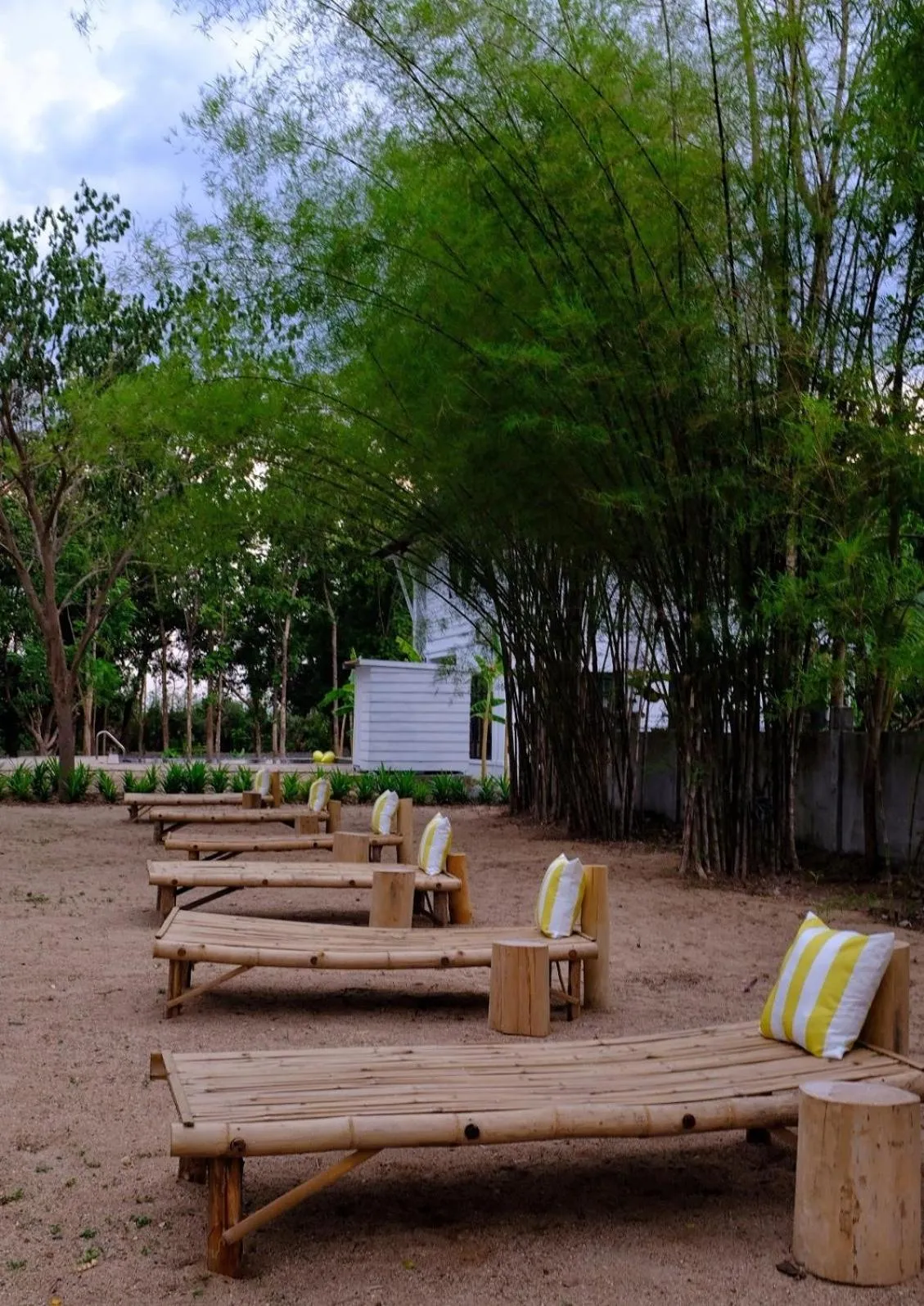 Waste Land Homestay & Resort Chiangmai