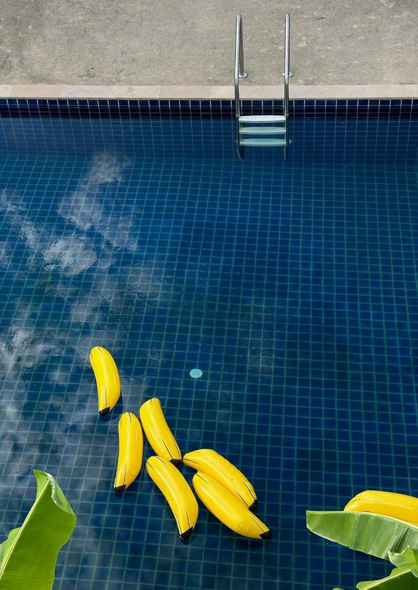 Waste Land Homestay & Resort Chiangmai