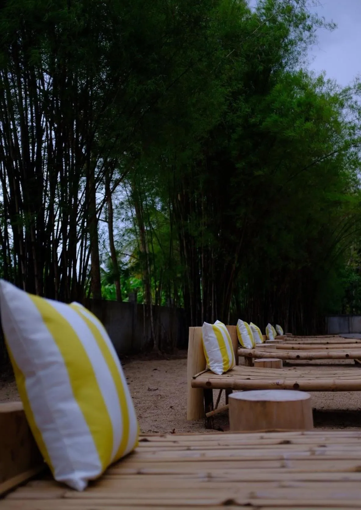 Waste Land Homestay & Resort Chiangmai