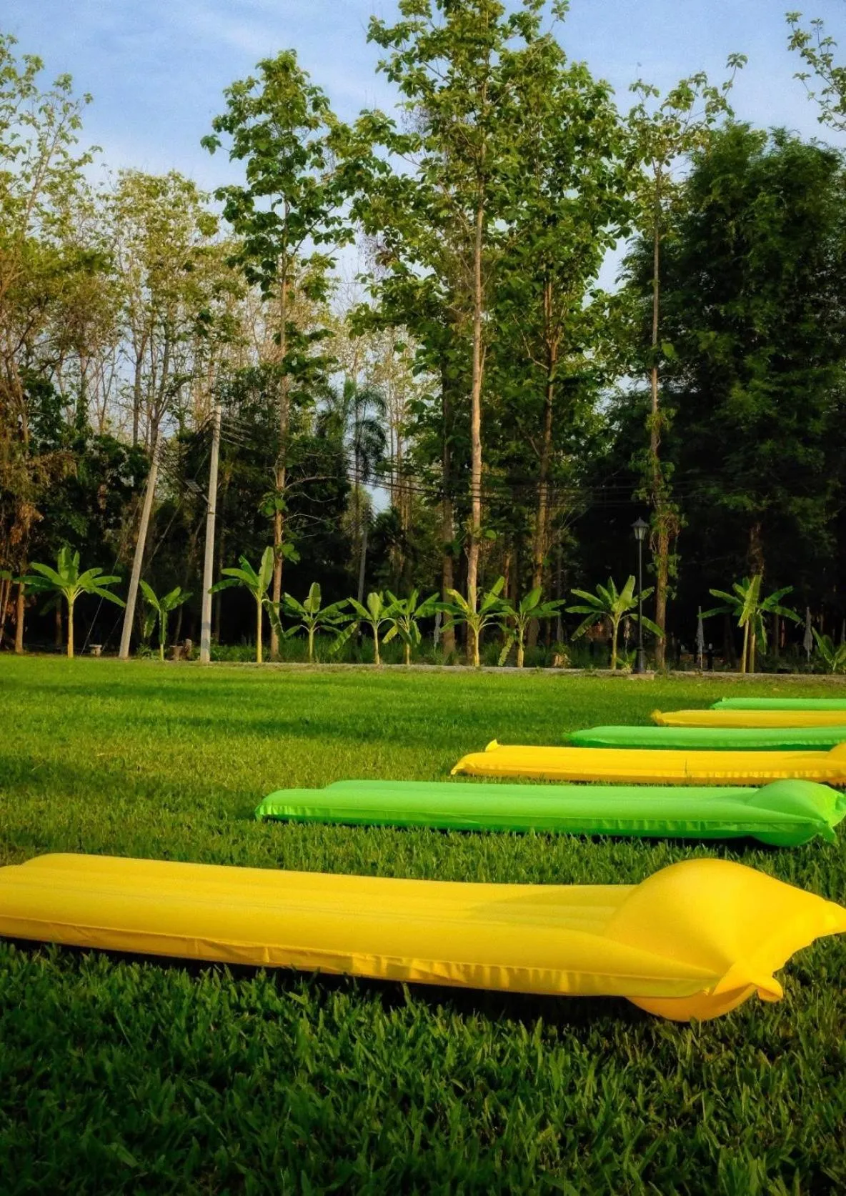 Waste Land Homestay & Resort Chiangmai