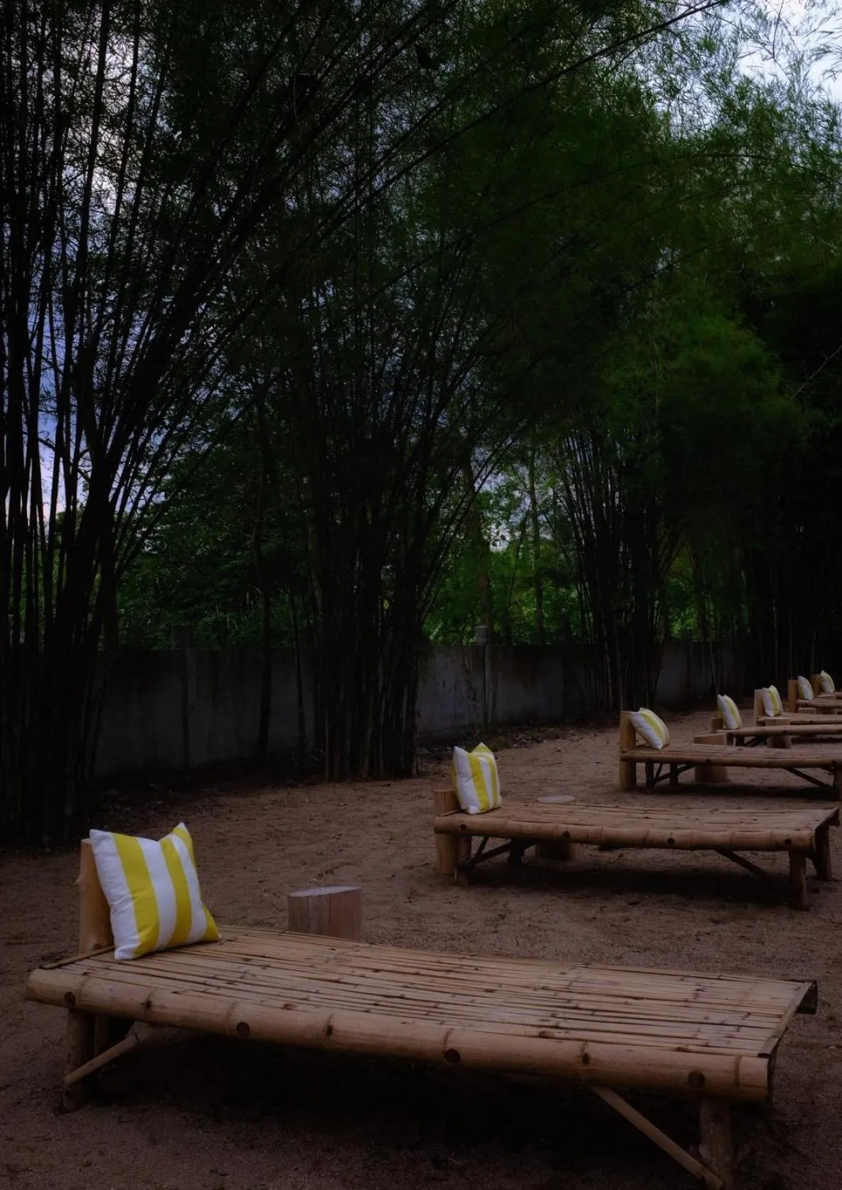 Waste Land Homestay & Resort Chiangmai