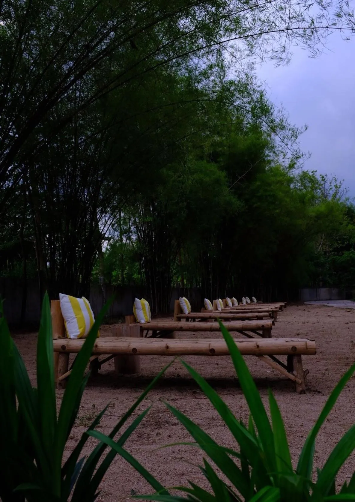 Waste Land Homestay & Resort Chiangmai