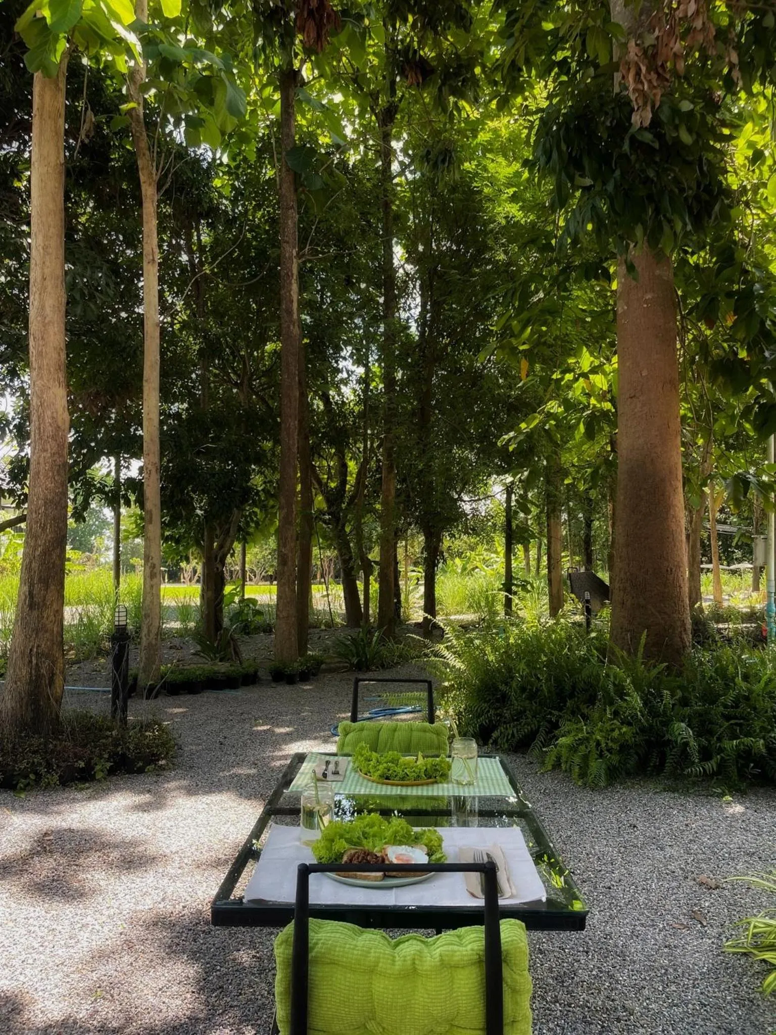 Waste Land Homestay & Resort Chiangmai