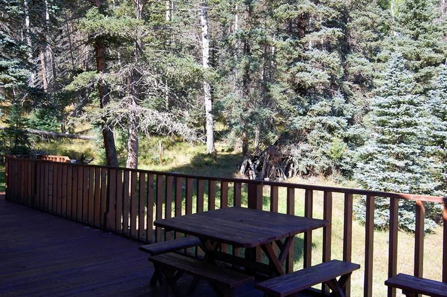 Artz Valley Cabin - WiFi - Satellite - Washer - Dryer - Wrap Around Deck - Wood Burning Fireplace - Secluded Setting